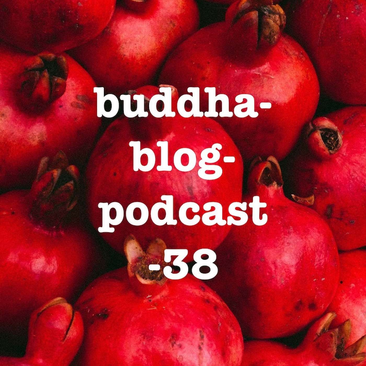 38-Die Wahrheit der Dinge-Buddha-Blog-Podcast-Buddhismus im Alltag