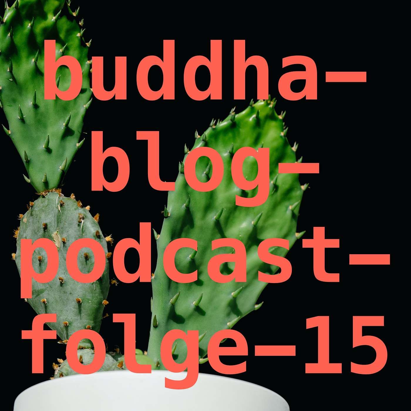 Die Verbindung zum Universum-Buddha-Blog-Podcast-15-Buddhismus im Alltag