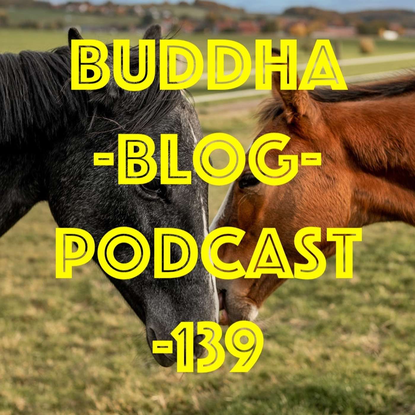 139-Die Dualität im Buddhismus - Buddha-Blog-Podcast-Buddhismus im Alltag