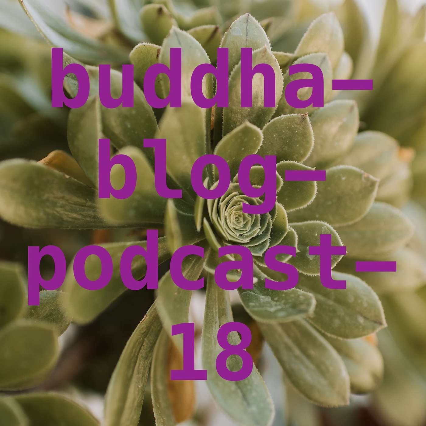 Friede mit sich selbst schließen-Buddha-Blog-Podcast-18-Buddhismus im Alltag