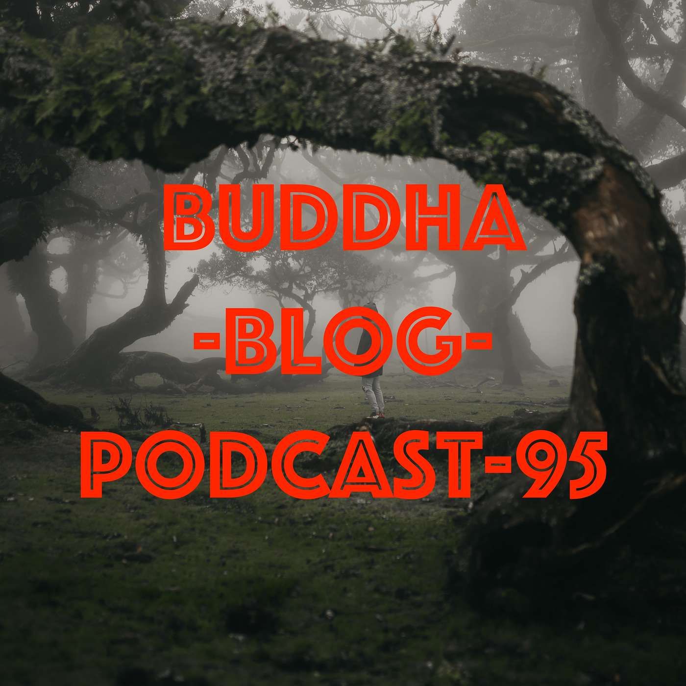 95-Der kritische Satz-Buddha-Blog-Podcast-Buddhismus im Alltag