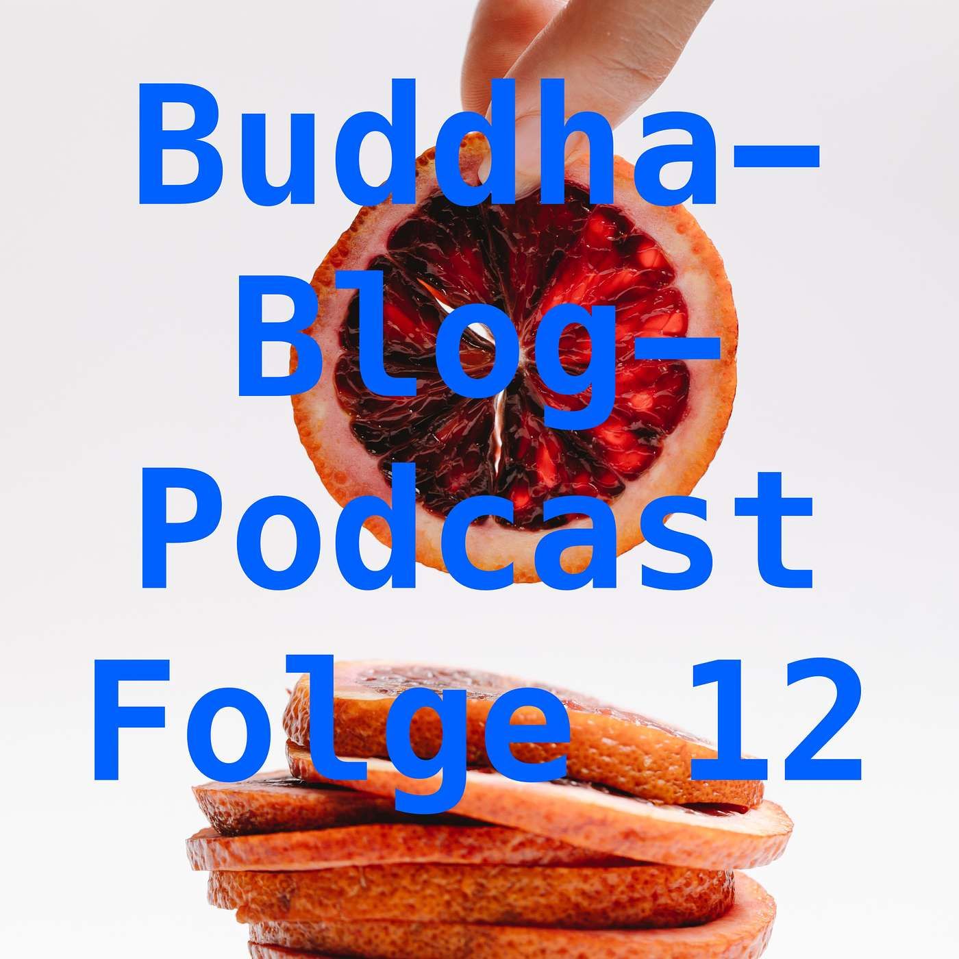 Schmerz gehört zum Leben - Buddha-Blog-Podcast-12-Buddhismus im Alltag