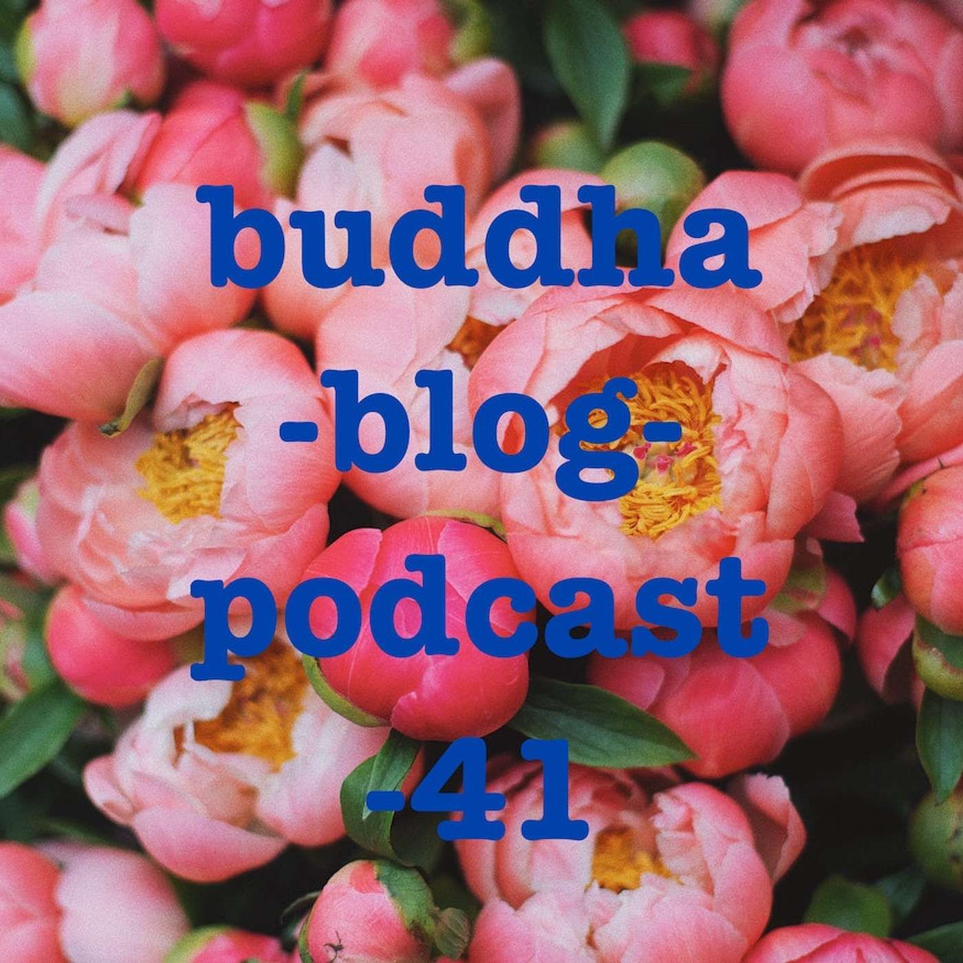 41-Sich hinterfragen-Buddha-Blog-Podcast-Buddhismus im Alltag