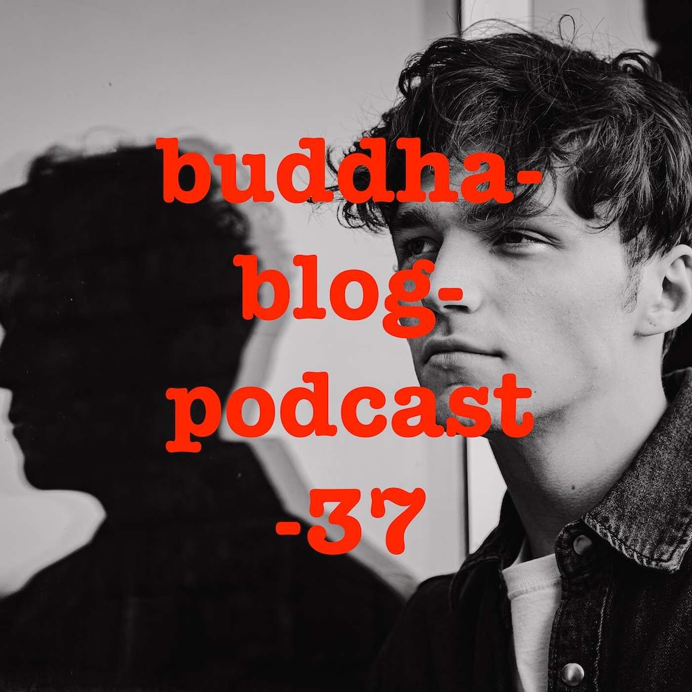 37-Die Gefühle verstehen-Buddha-Blog-Podcast-Buddhismus im Alltag