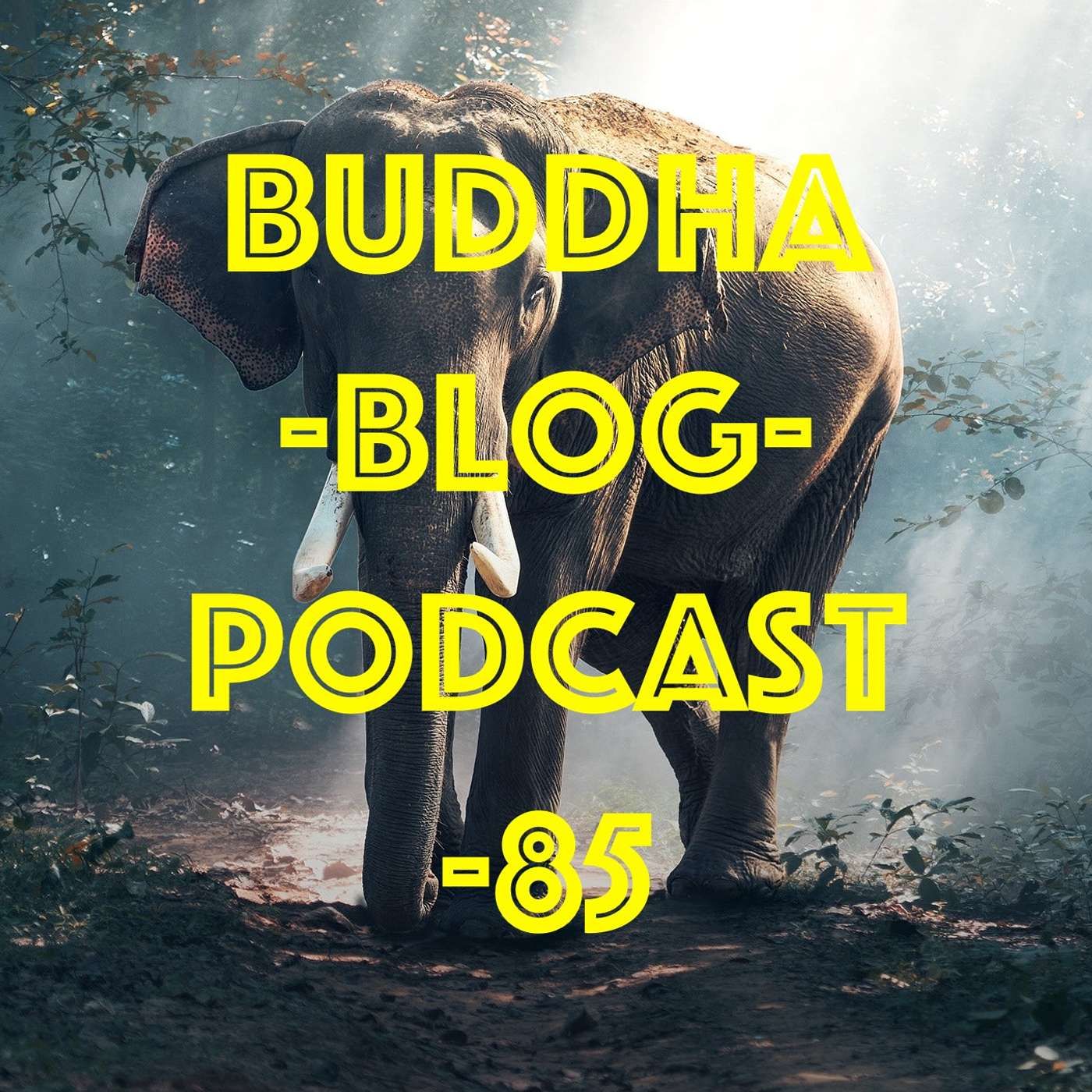 85-Die Wahrheit über Elefanten-Buddha-Blog-Podcast-Buddhismus im Alltag