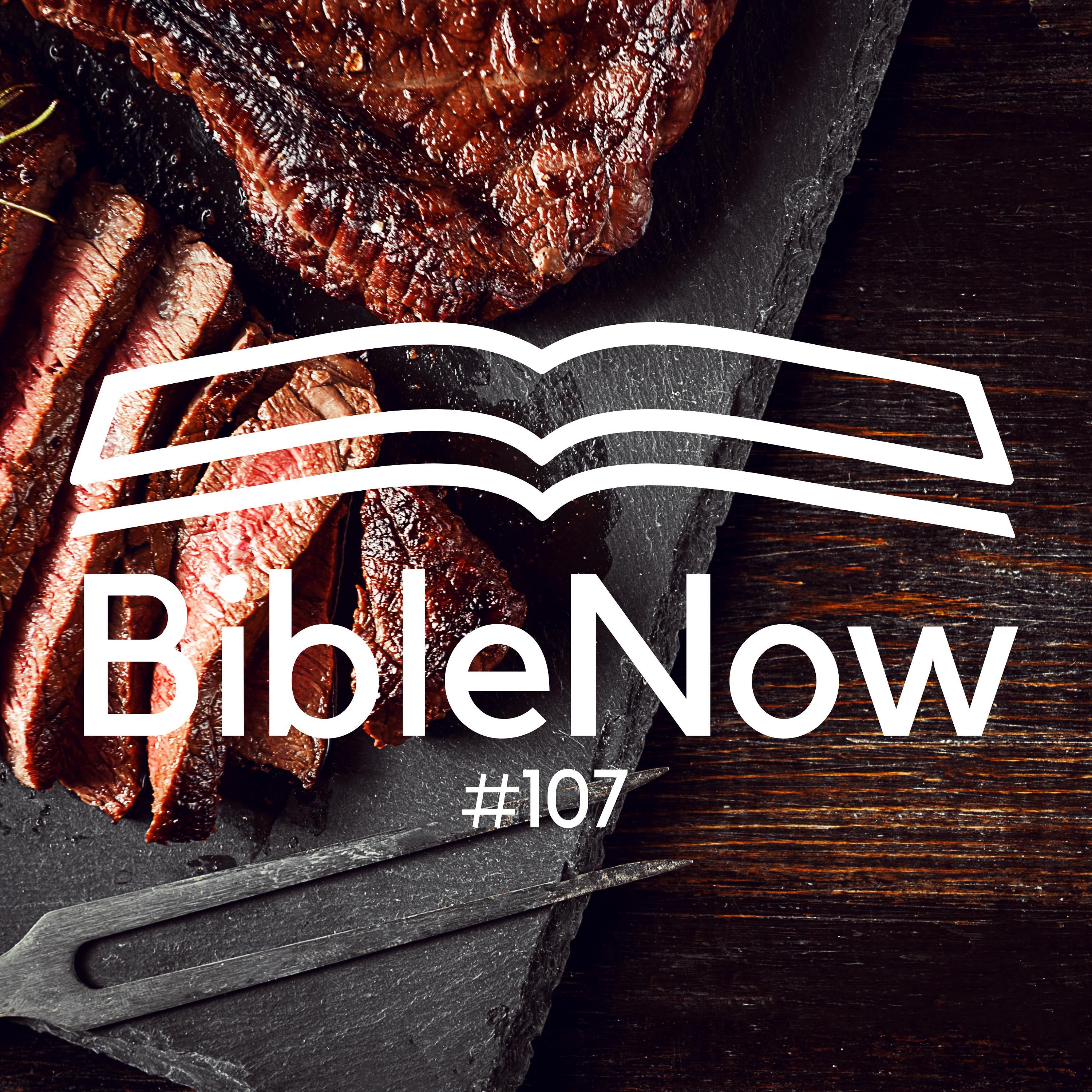 BibleNow #107: 3. Mose 11