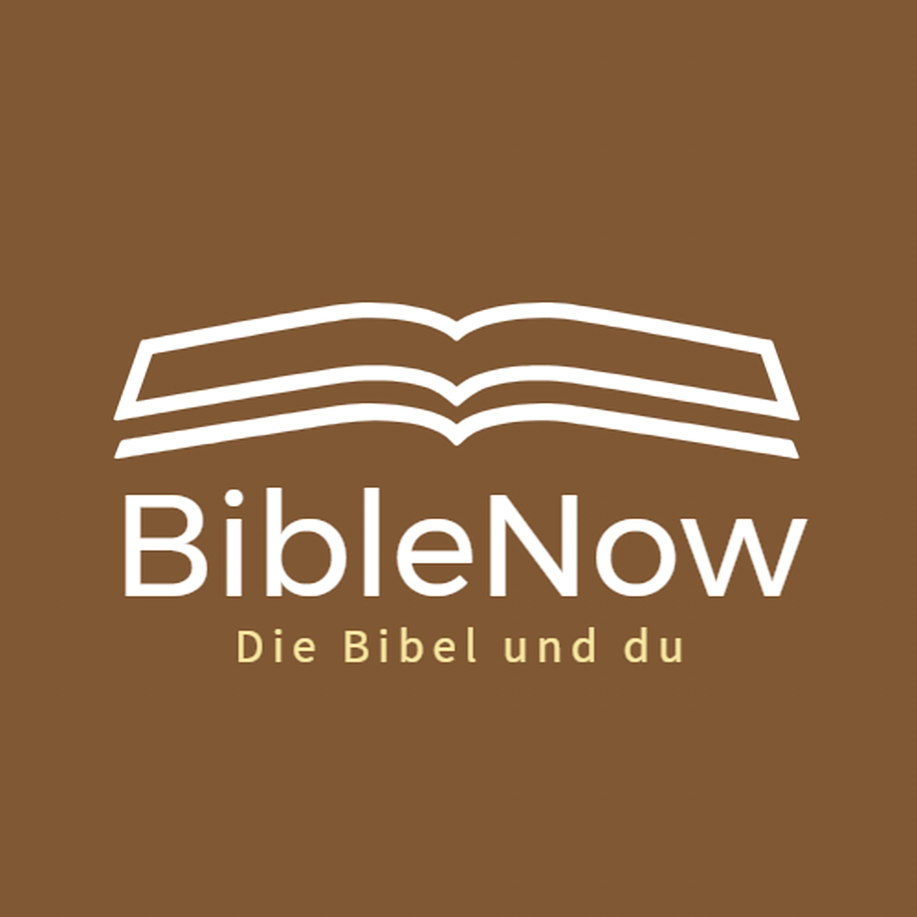 BibleNow #37: 1. Mose 31,24-54