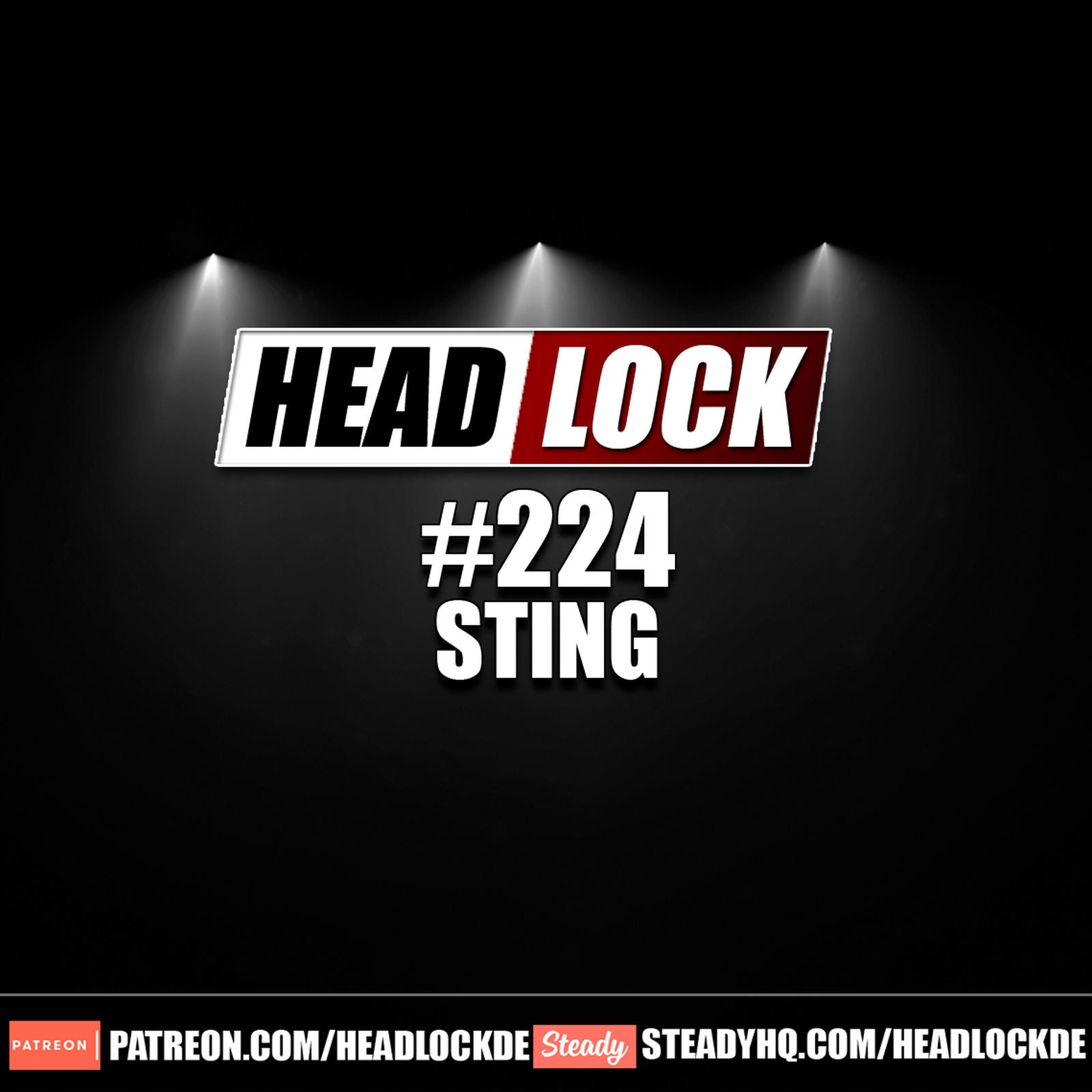 #224: Sting - Was Steve Borden zum bekanntesten WCW-Star aller Zeiten machte!