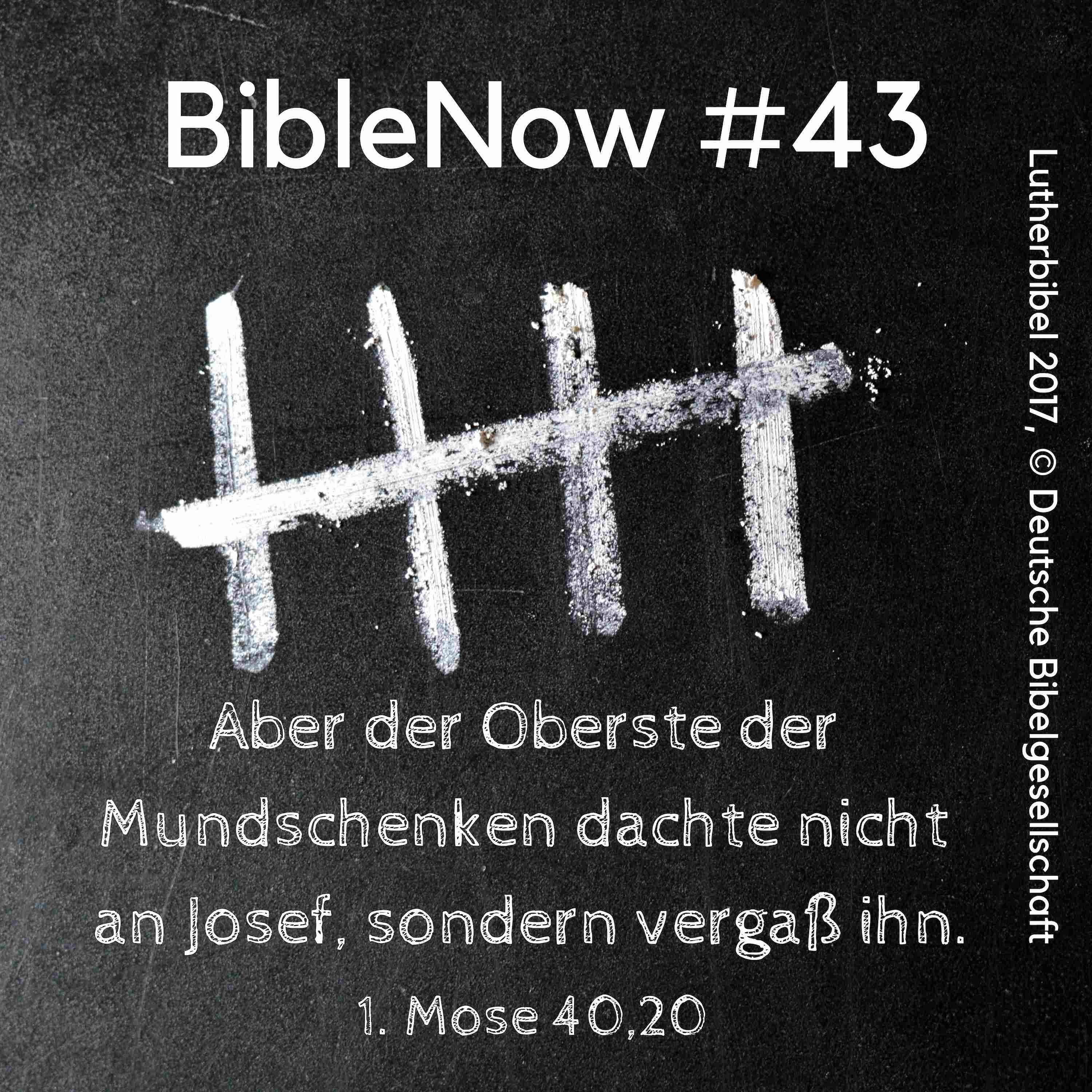 BibleNow #43: 1. Mose 40,9-41,16