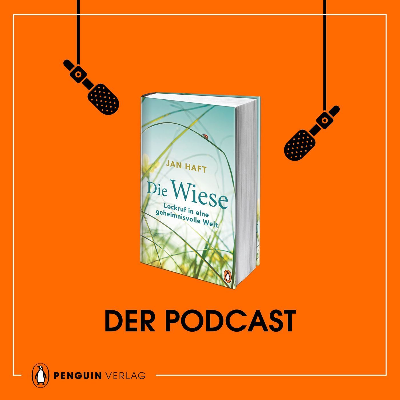 Jan Haft: Die Wiese