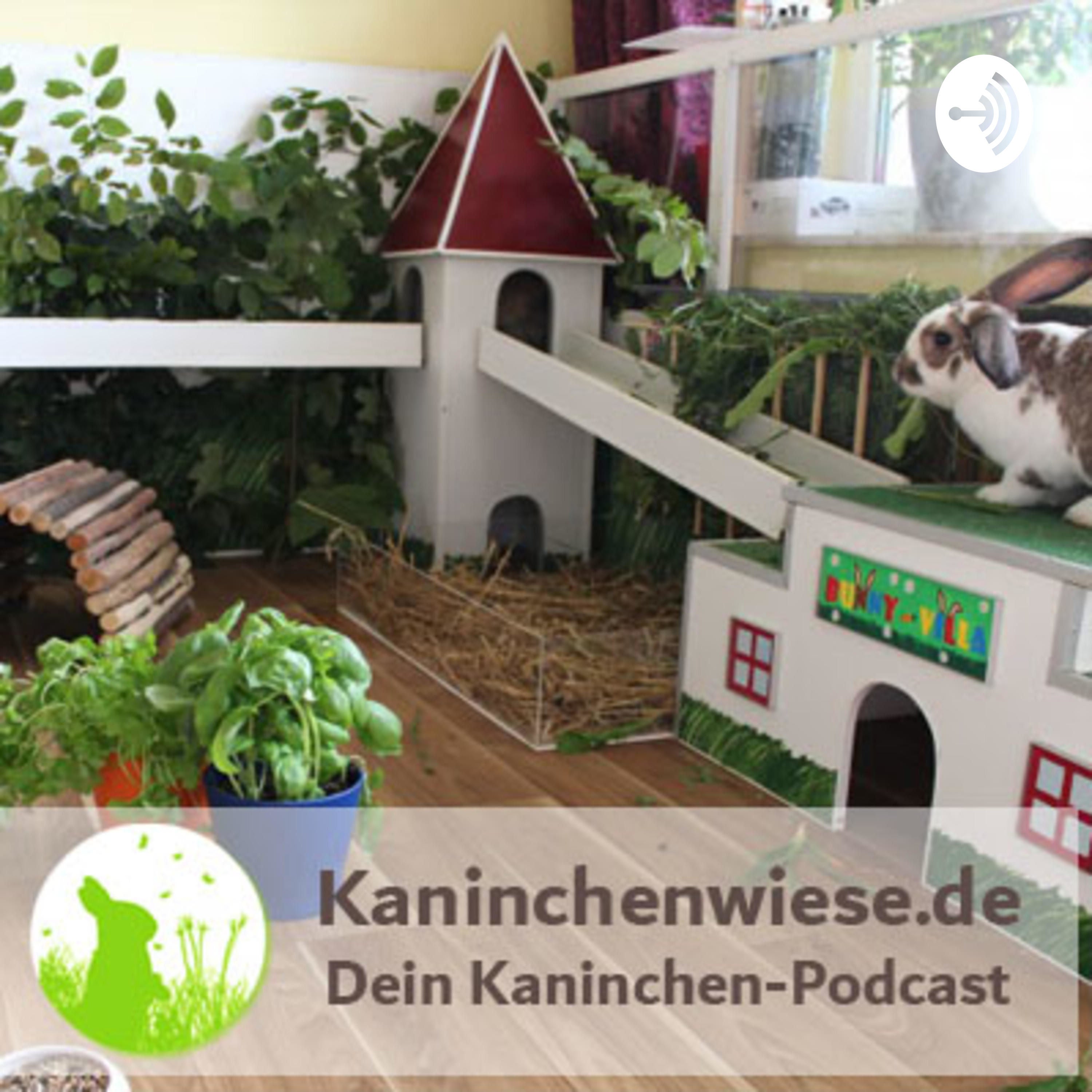 Machst du auch diese Haltungsfehler?