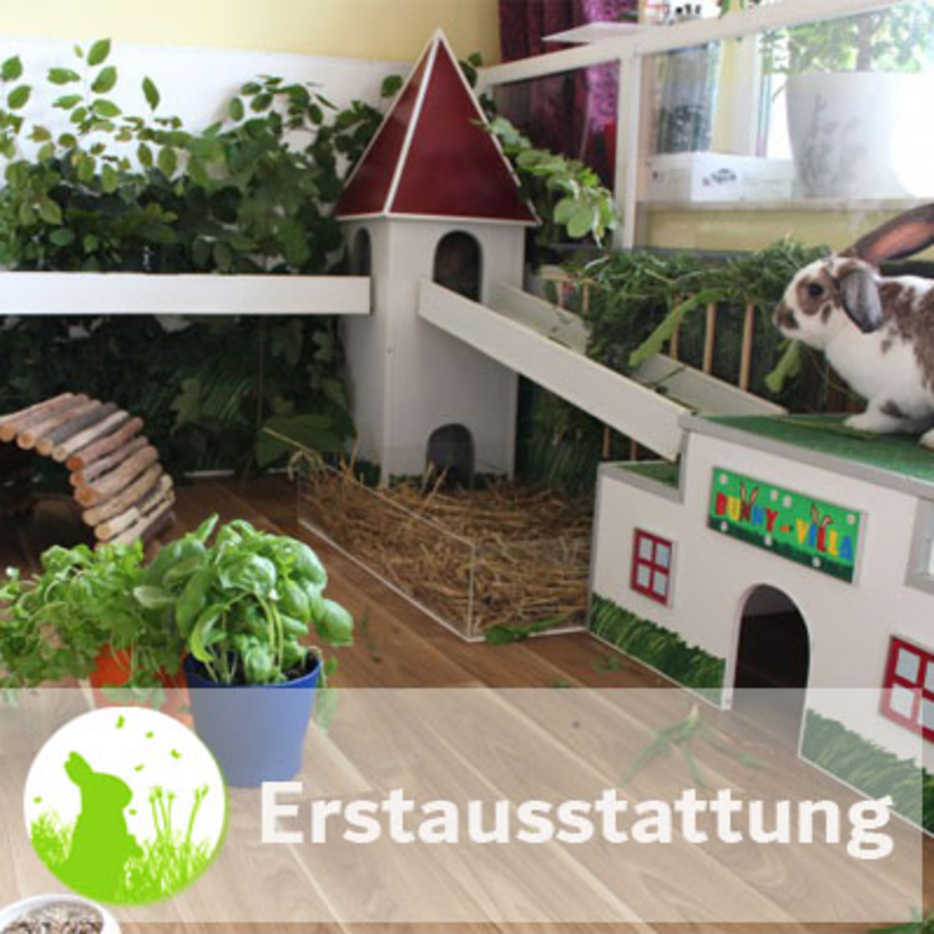 Grundausstattung: Was ist wirklich sinnvoll?