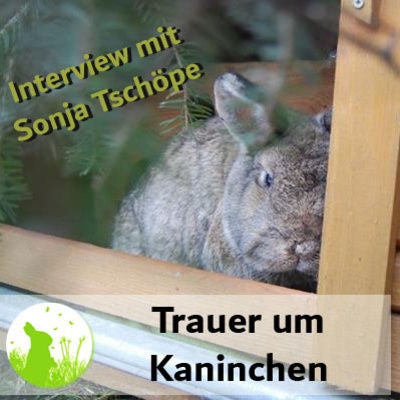 Trauer um Kaninchen