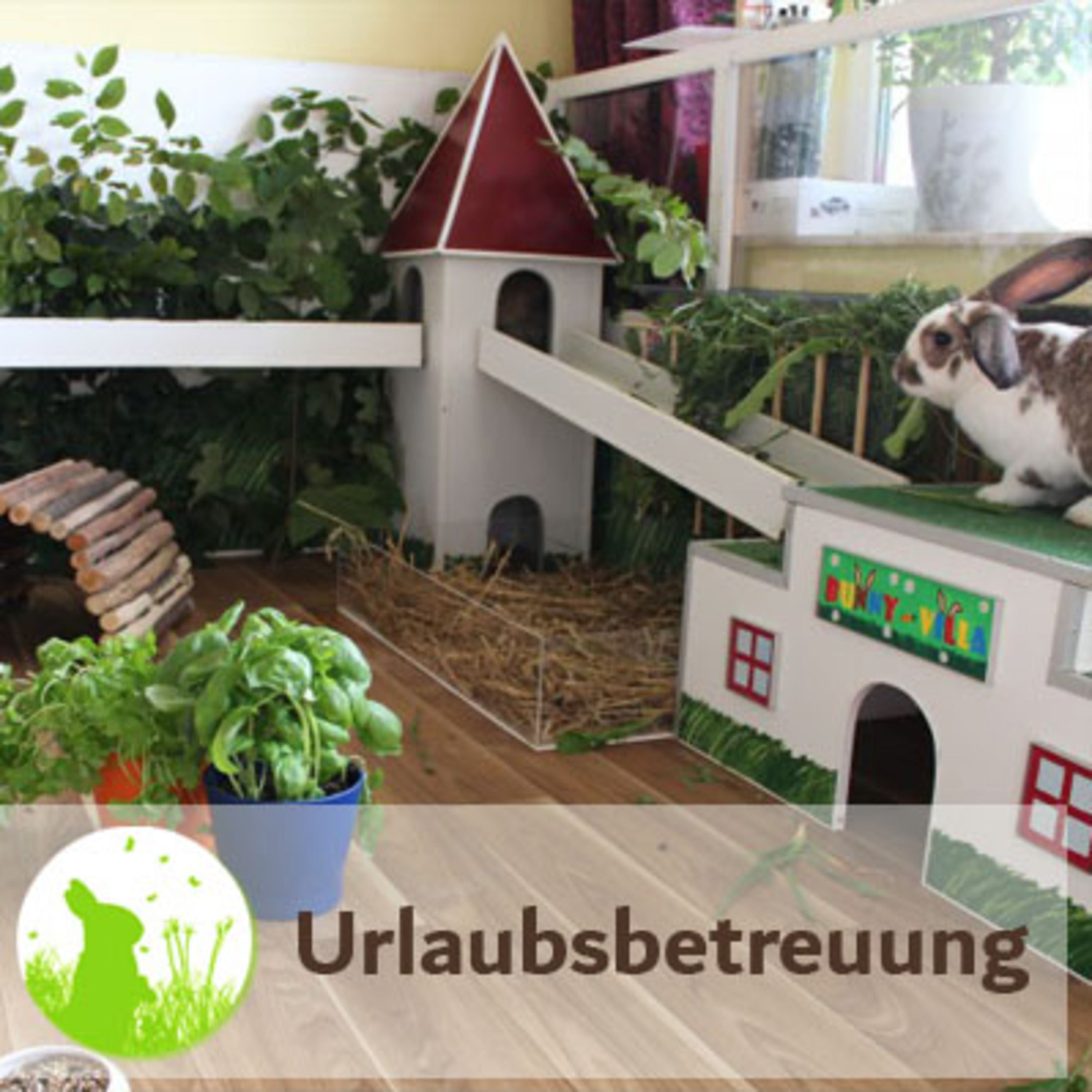 Urlaubsbetreuung