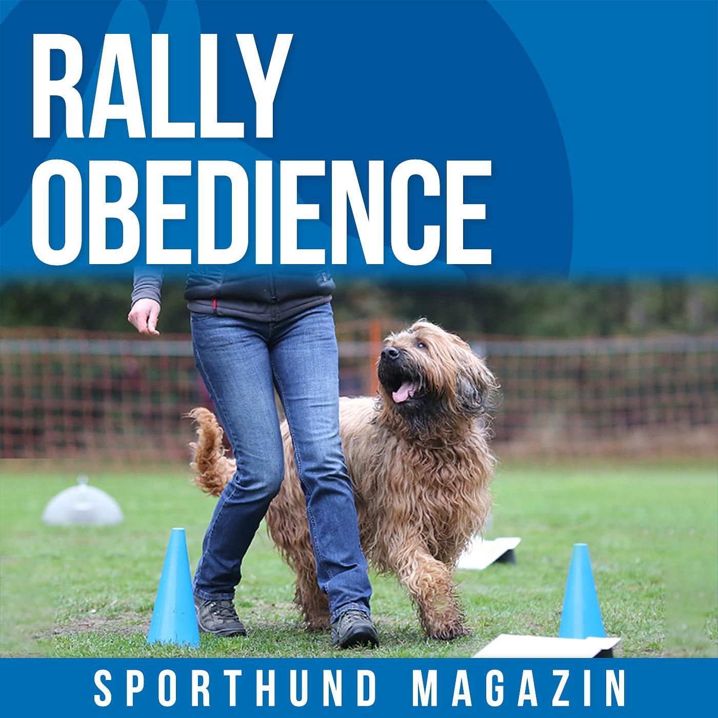 #3 Rally Obedience