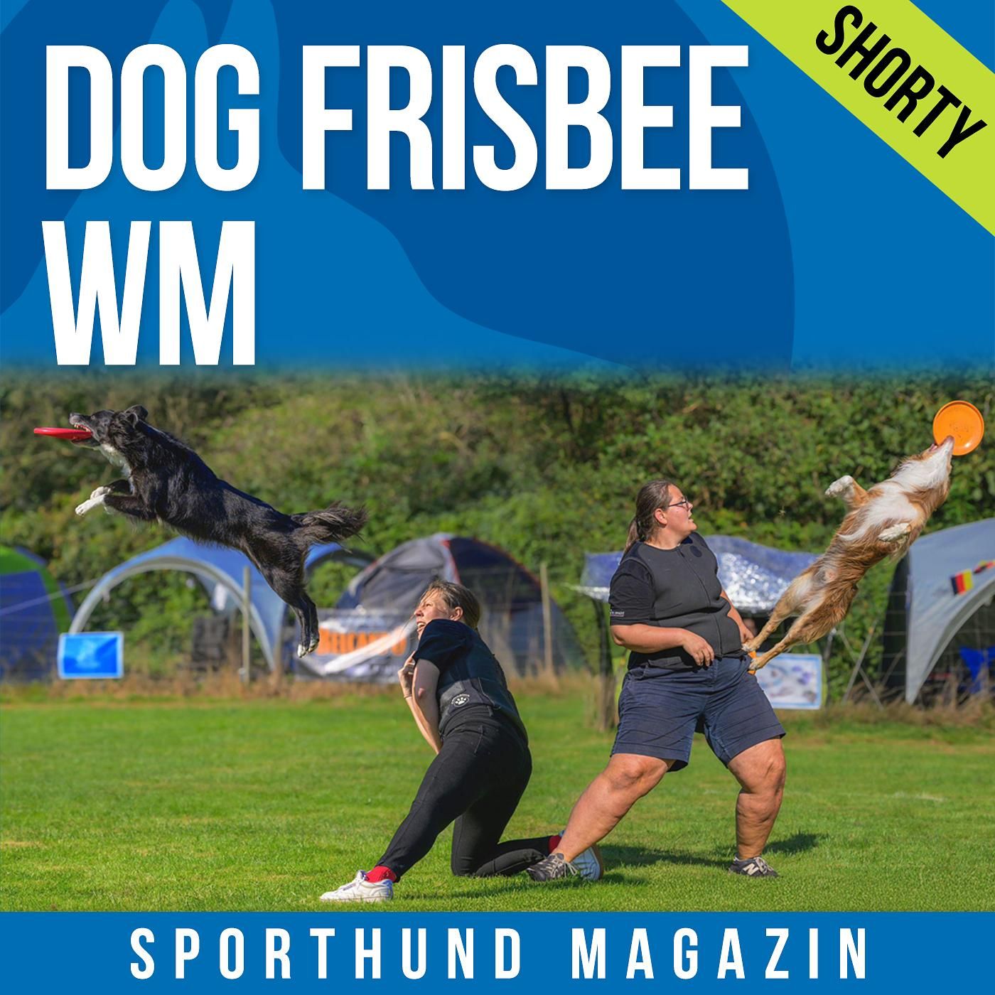 Shorty: Dog Frisbee WM