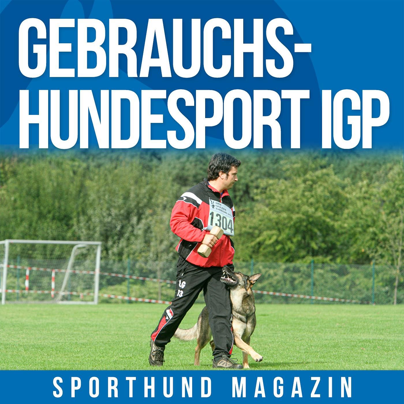 #10: Gebrauchshundesport IGP