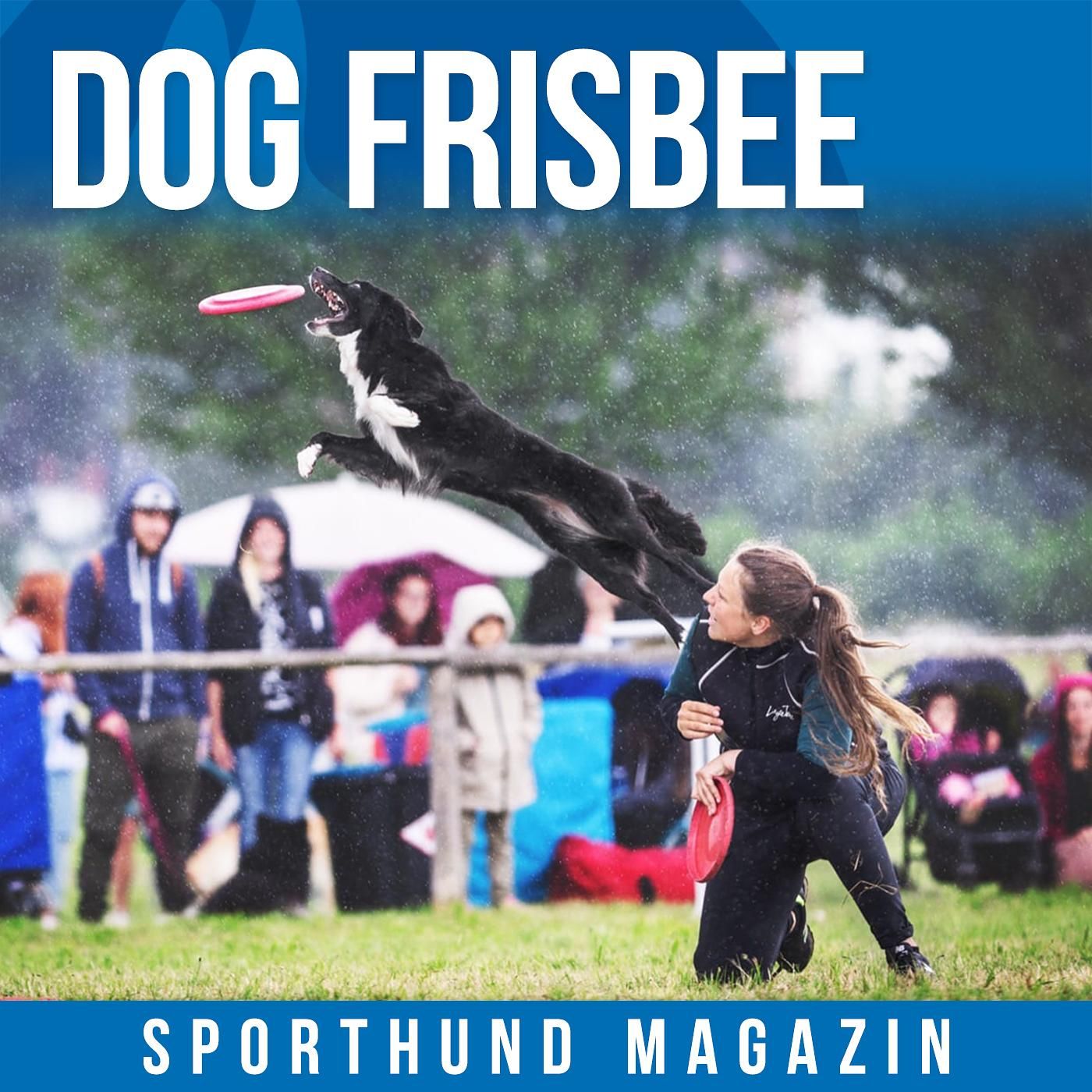 #11: Dog Frisbee