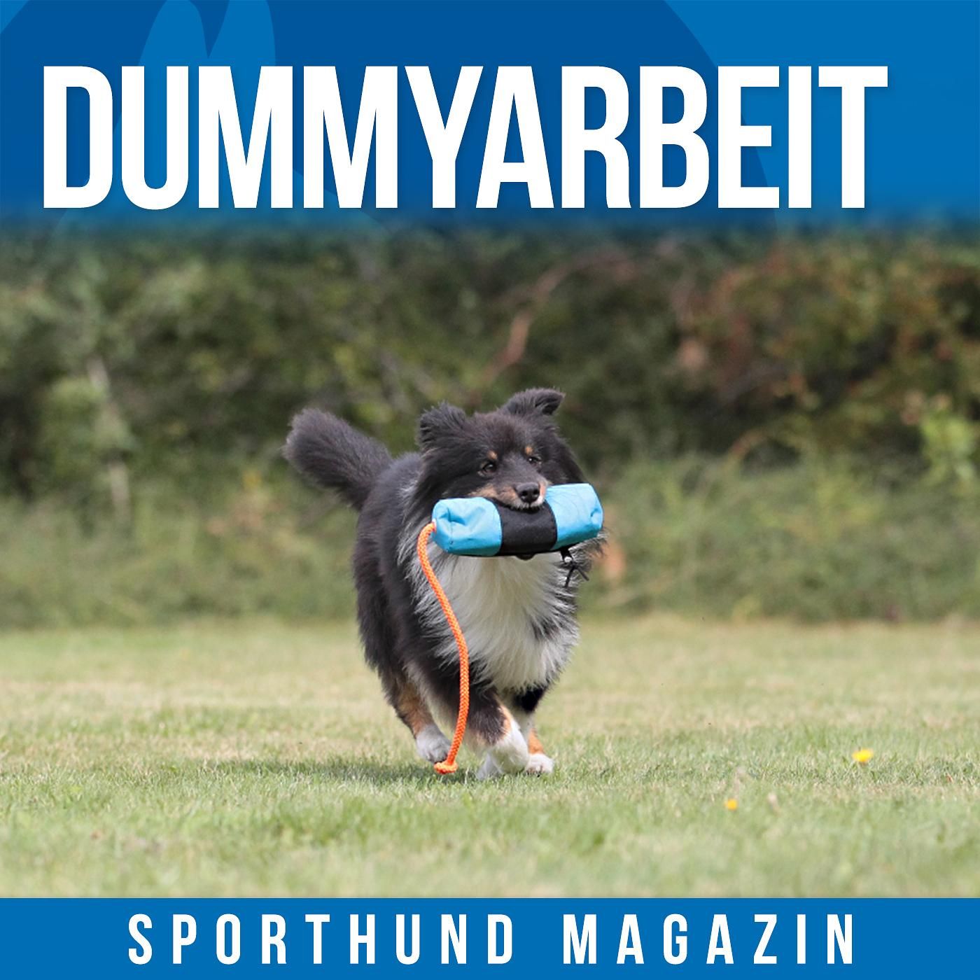#5 Dummyarbeit