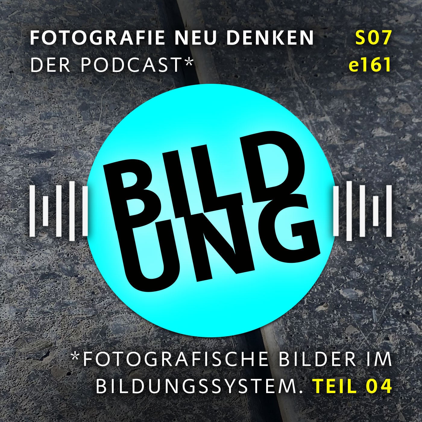 e161 »Fotografische Bilder im Bildungssystem. Teil 04«