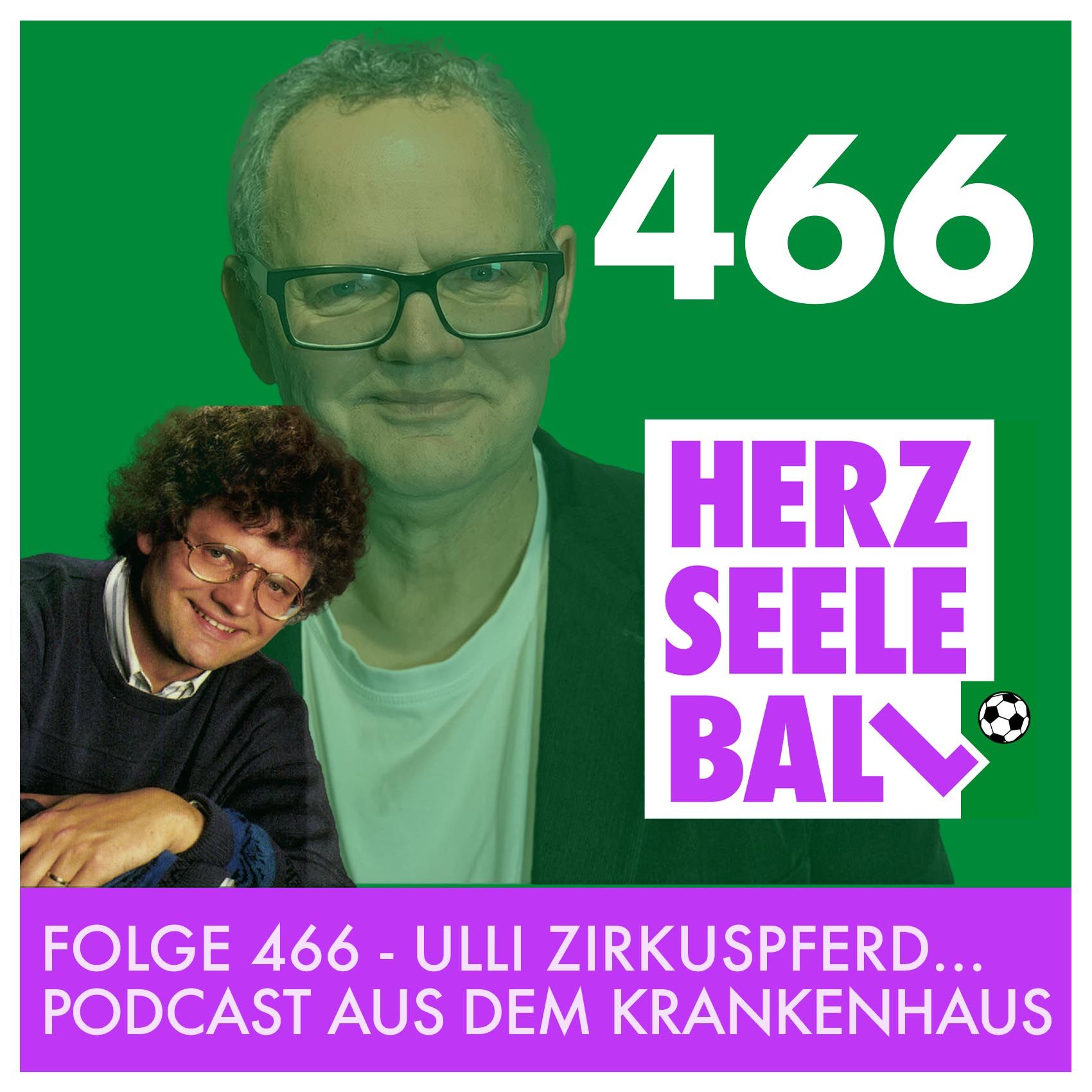 Herz Seele Ball • Folge 466