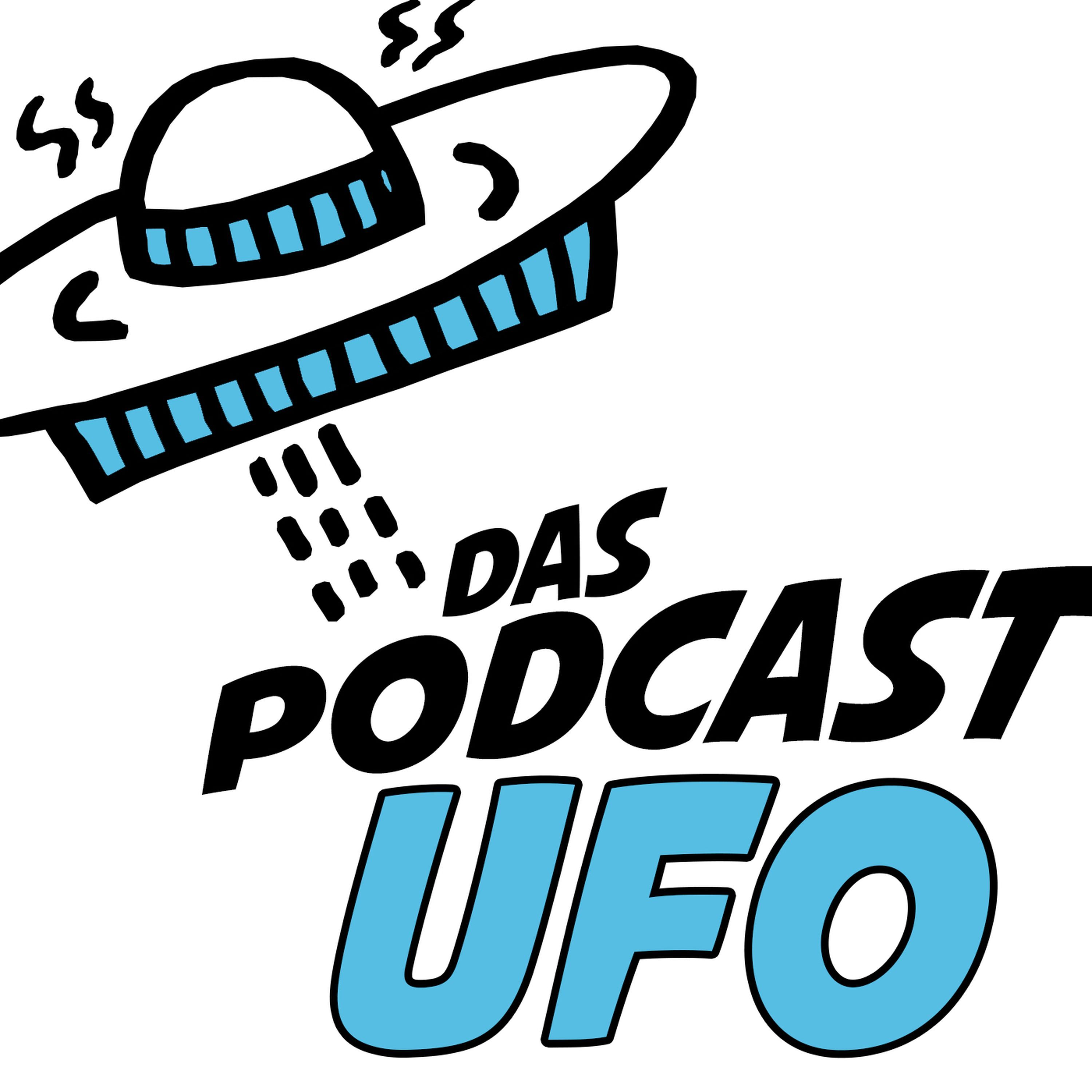 UFO258 Flederer