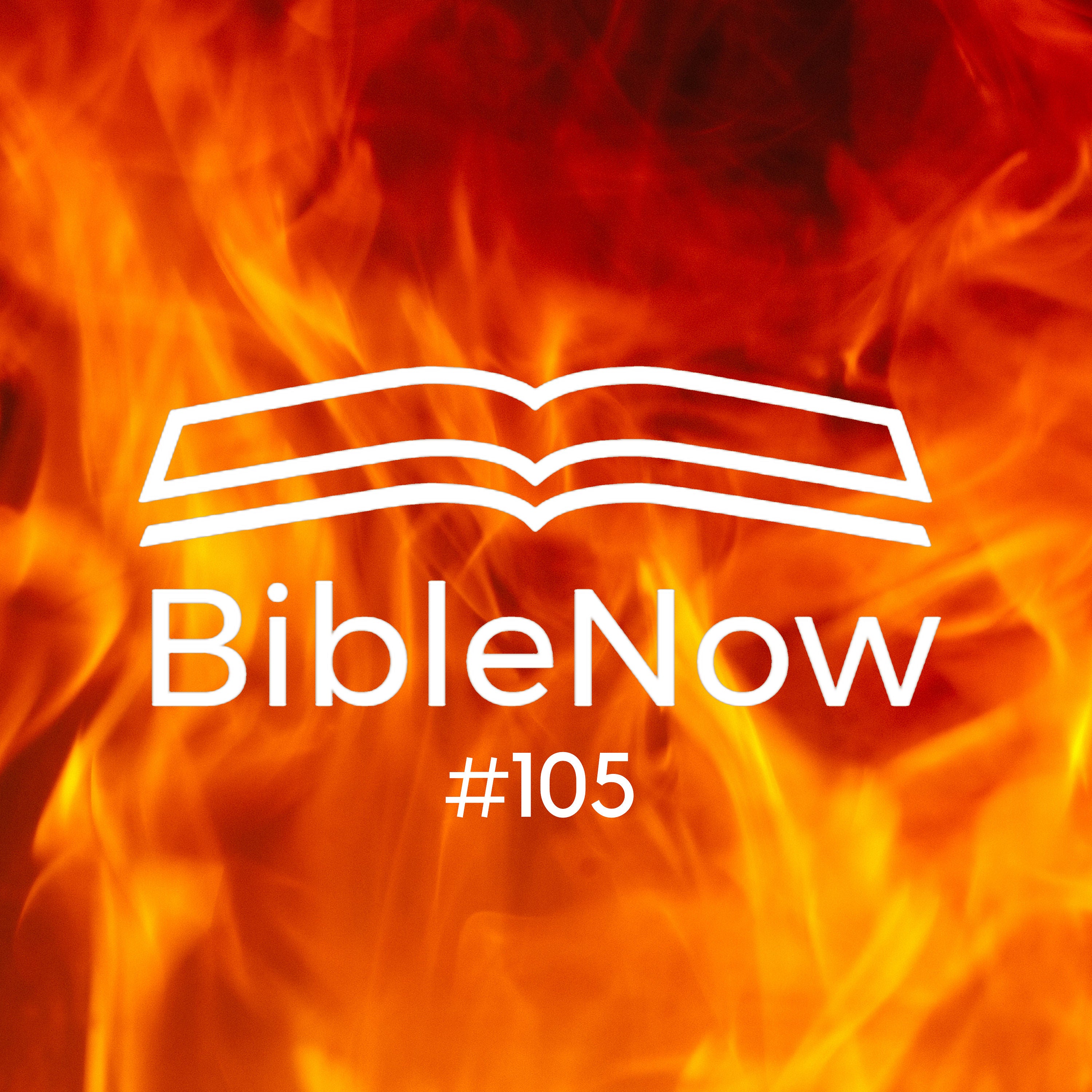 BibleNow #105: 3. Mose 9