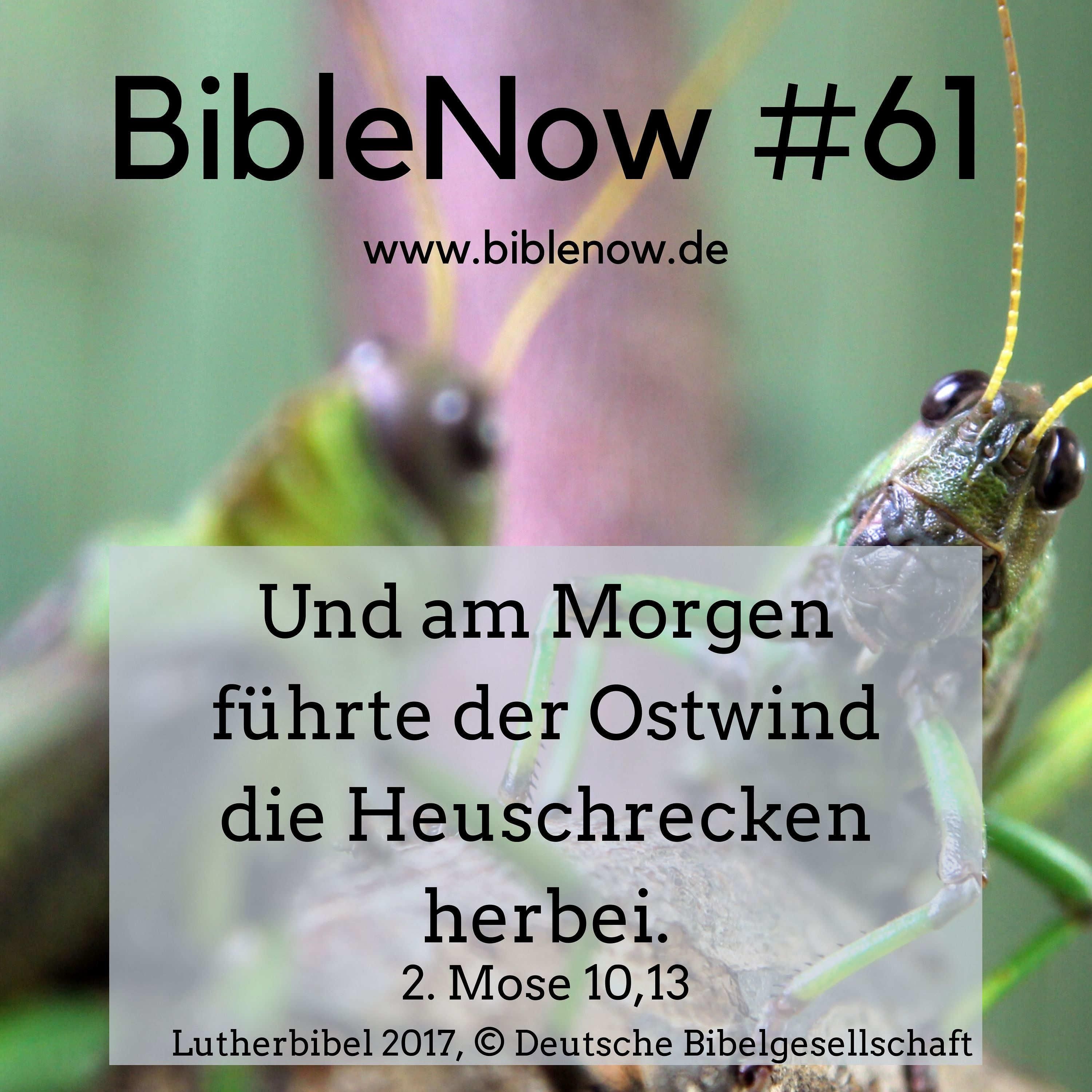BibleNow #61: 2. Mose 9,22-10,29