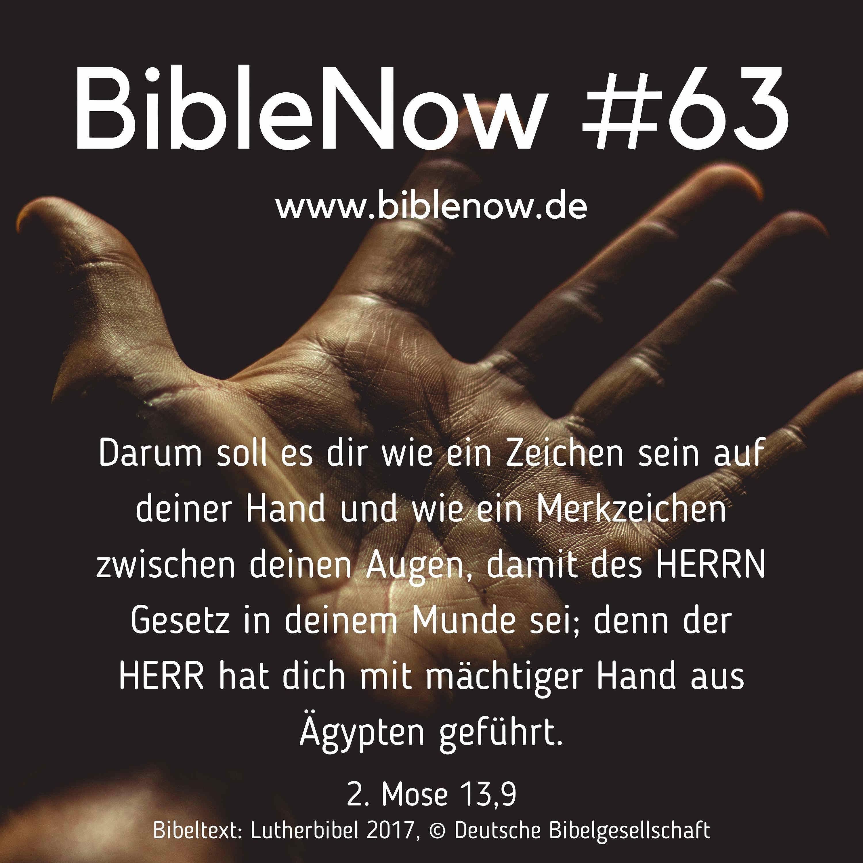 BibleNow #63: 2. Mose 12,18-13,10