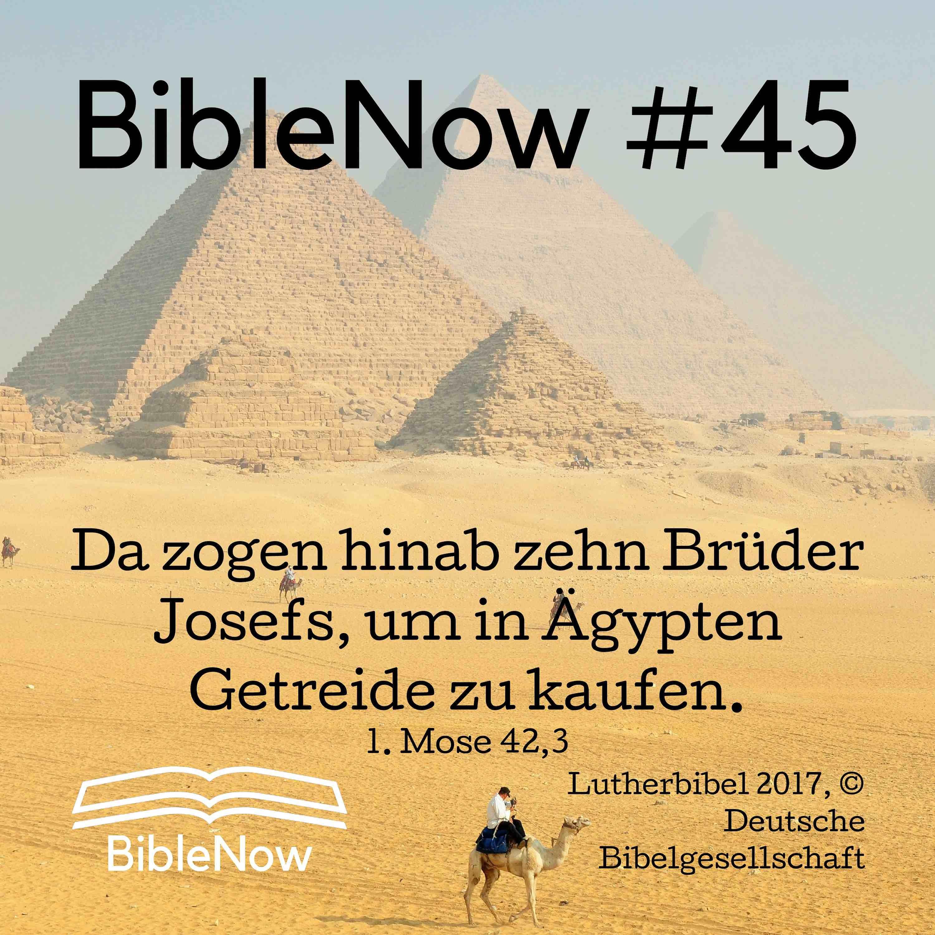BibleNow #45: 1. Mose 41,53-42,26