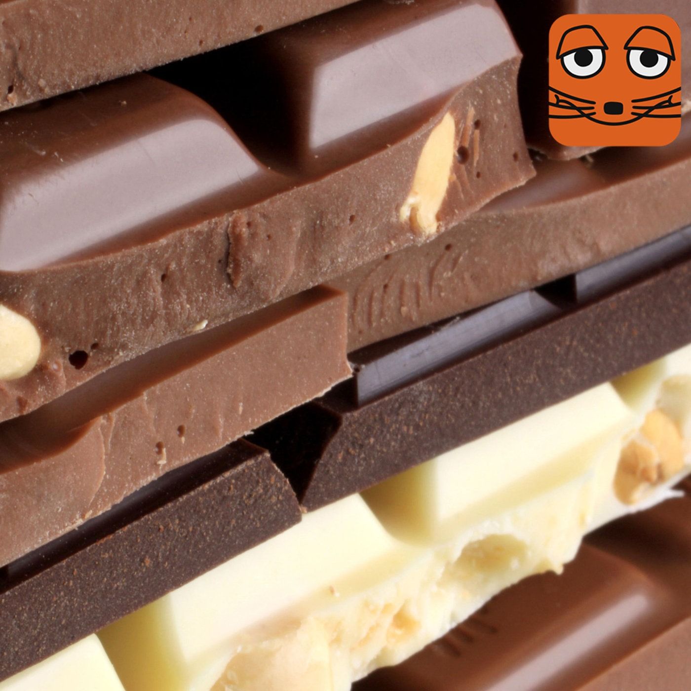 THEO-Lesung: Die Abenteuer des Chocolat Holmes