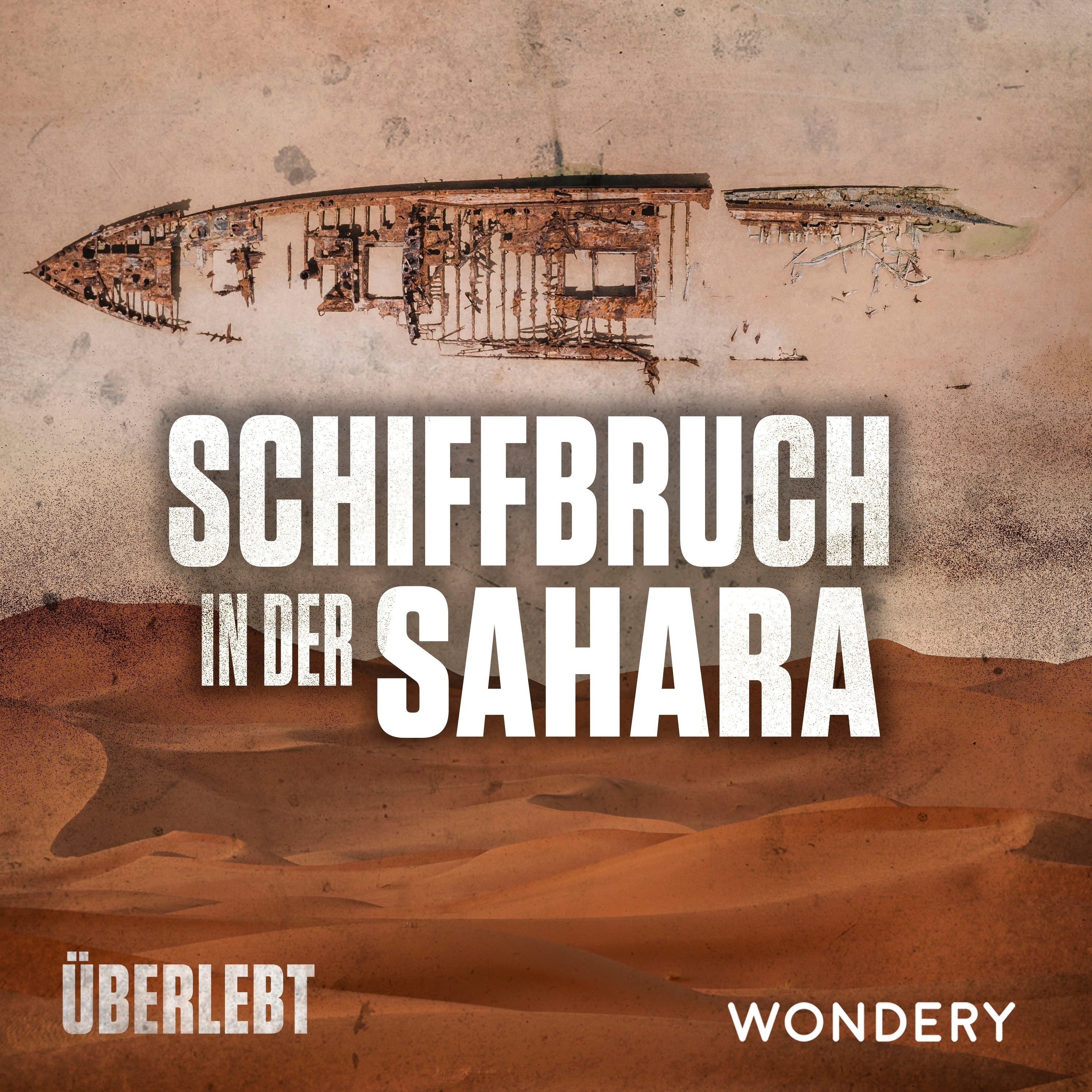 Schiffbruch in der Sahara | Der Sturm | 1