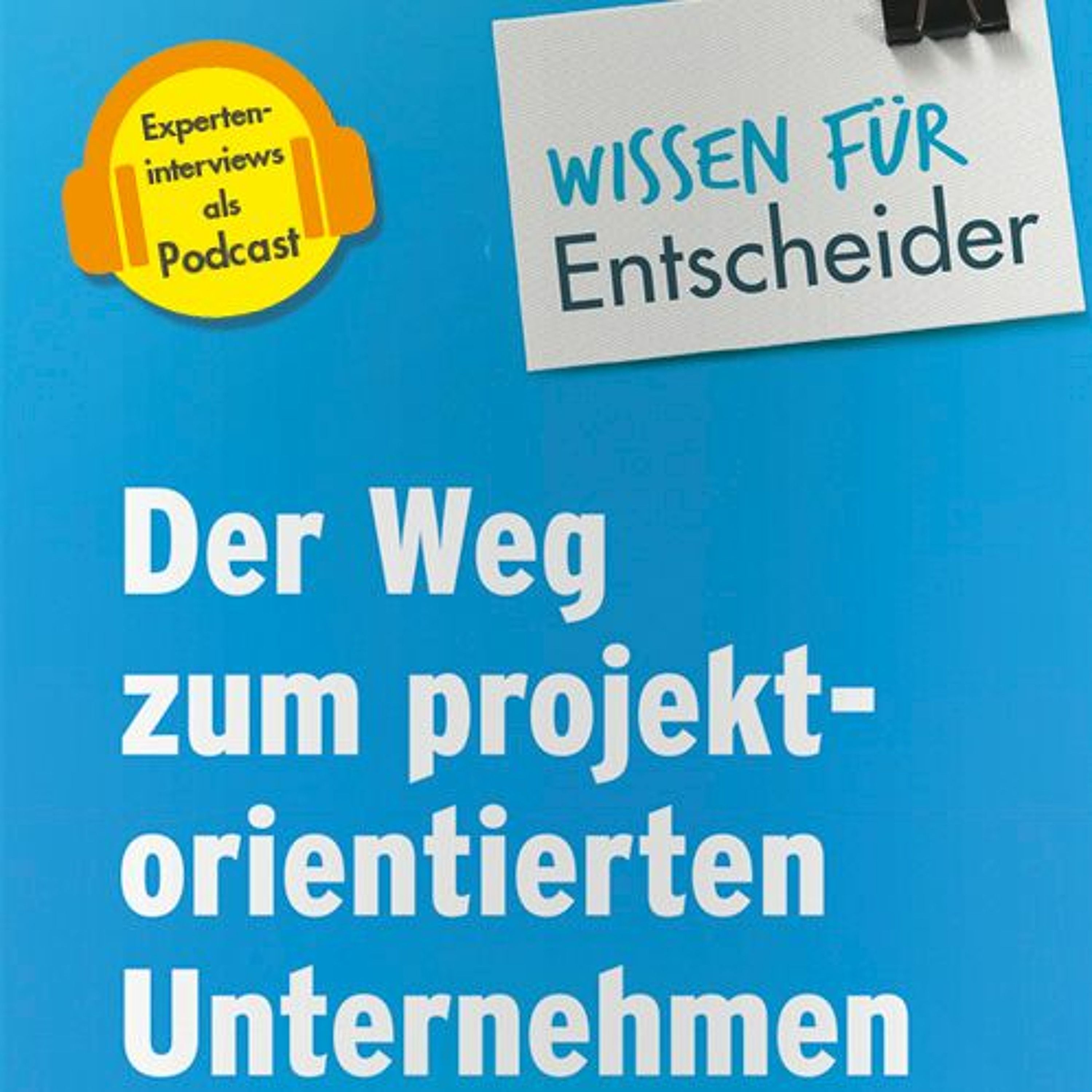 Konflikte zwischen Projekt- und Linienorganisationen in Unternehmen