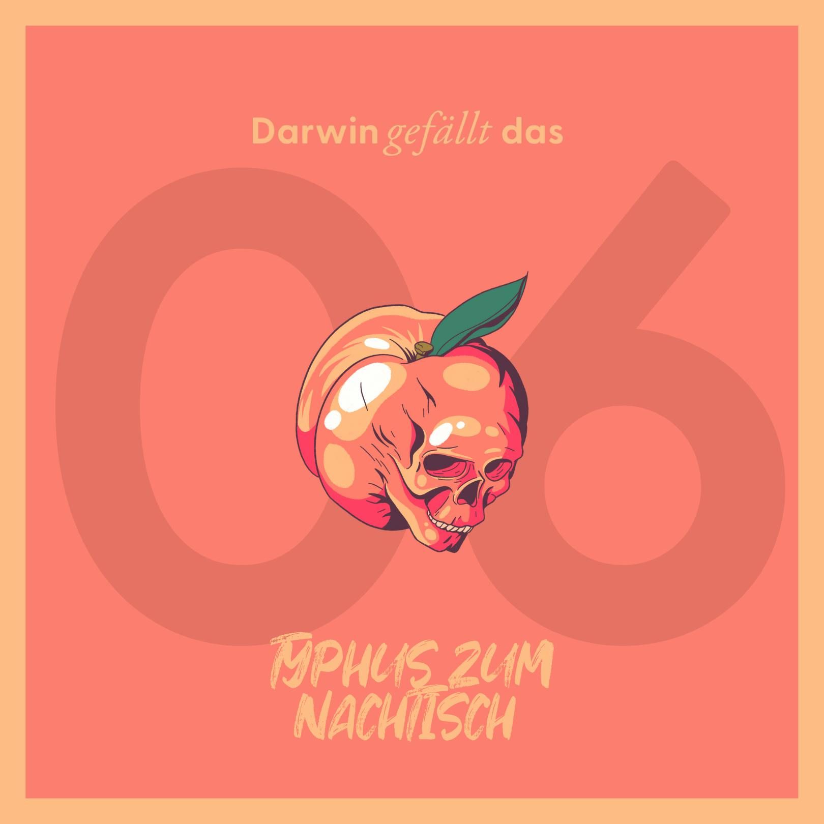 Typhus zum Nachtisch