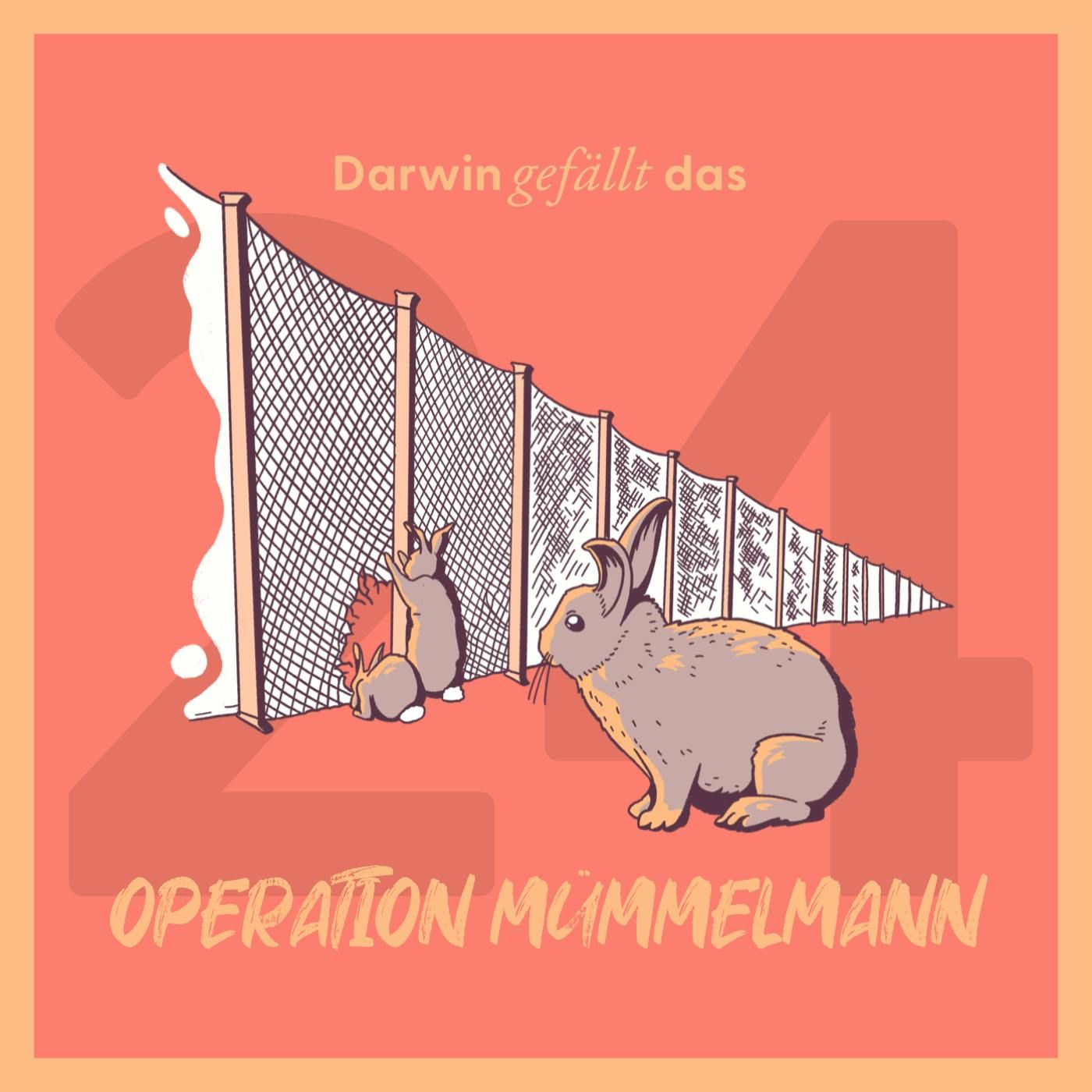 Operation Mümmelmann