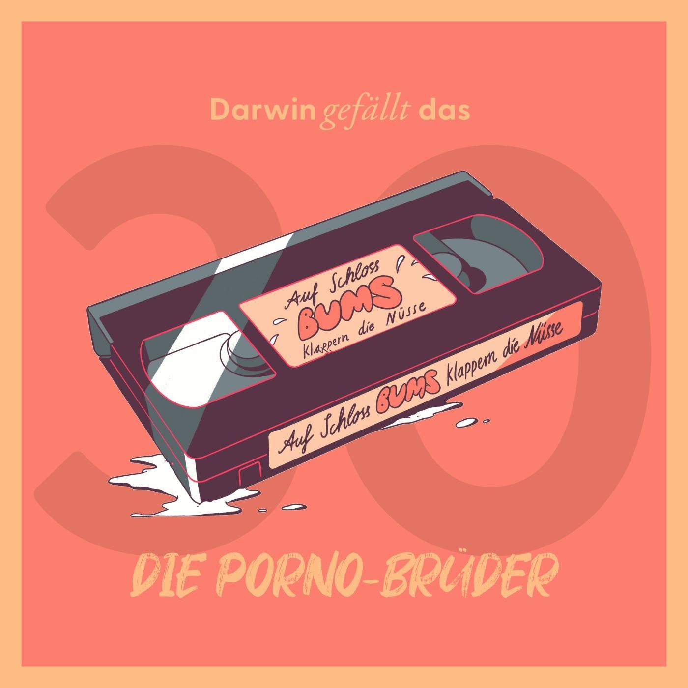 Die Porno-Brüder