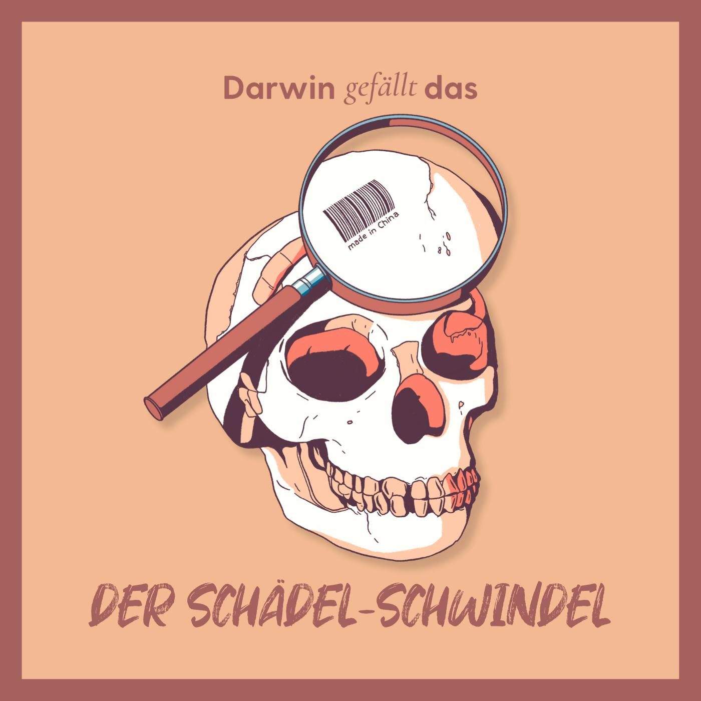 Der Schädel-Schwindel