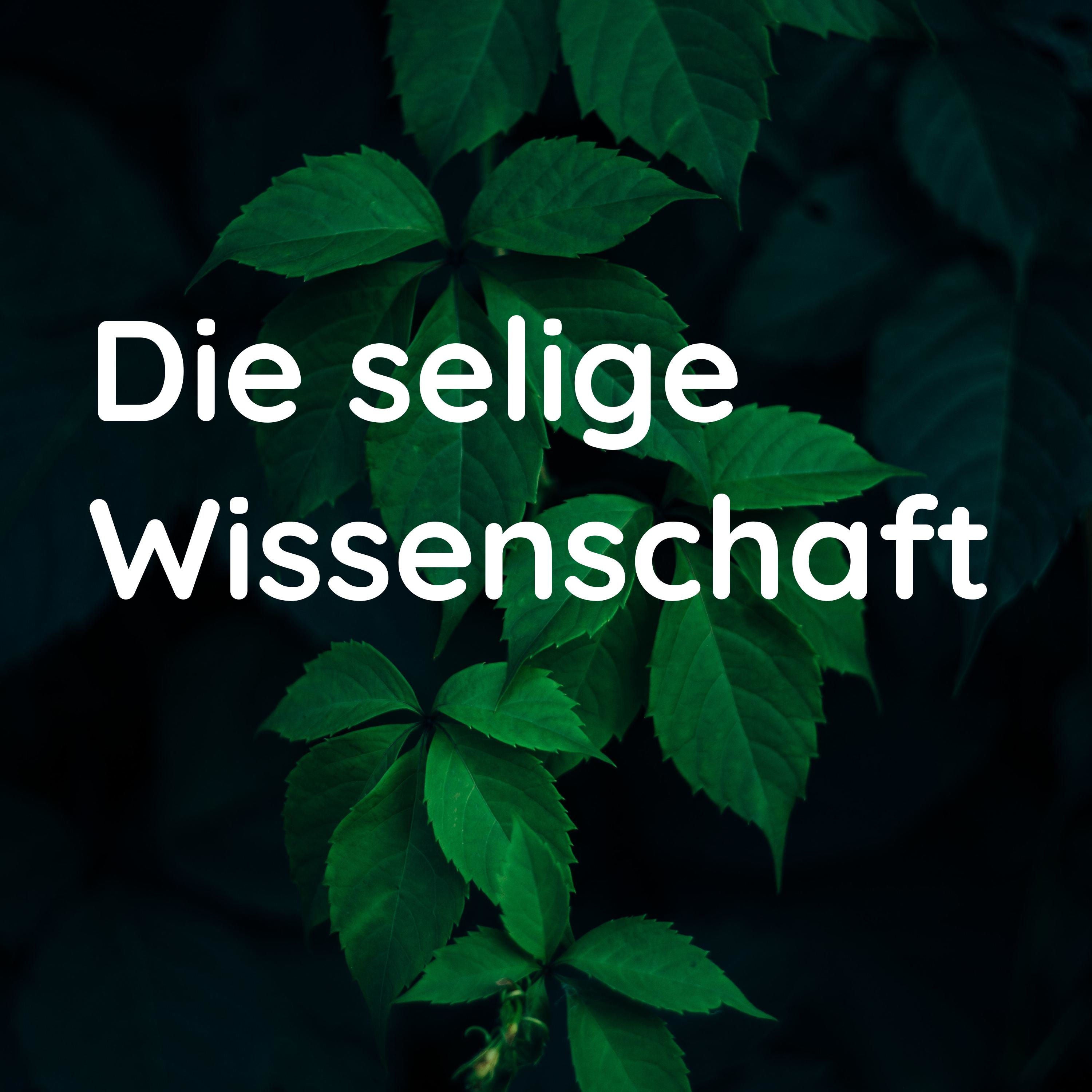 Kürzes Update, und: was Ihr von mir erwarten könnt