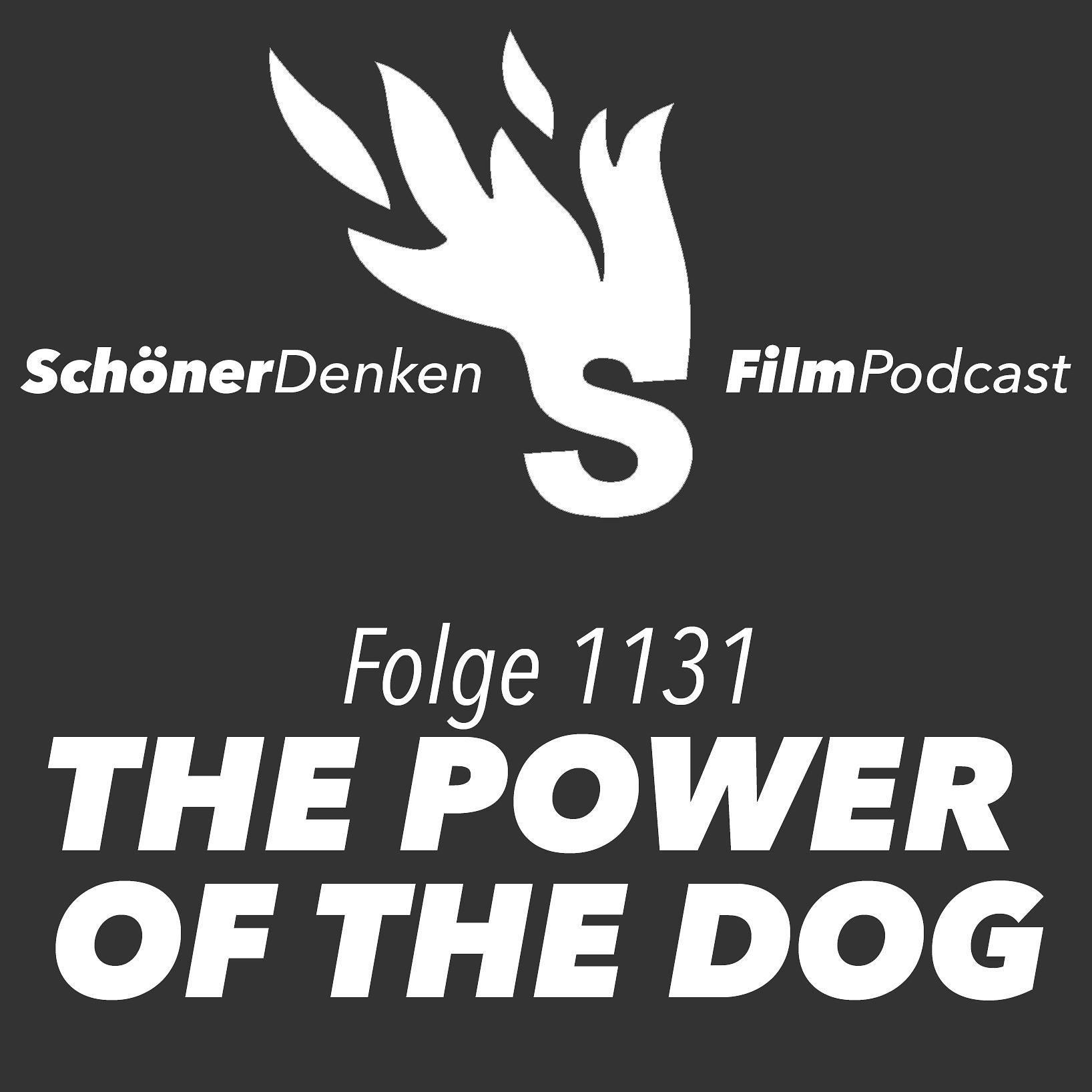 Folge 1131: THE POWER OF THE DOG: Die Zerbrechlichkeit der Männerbilder