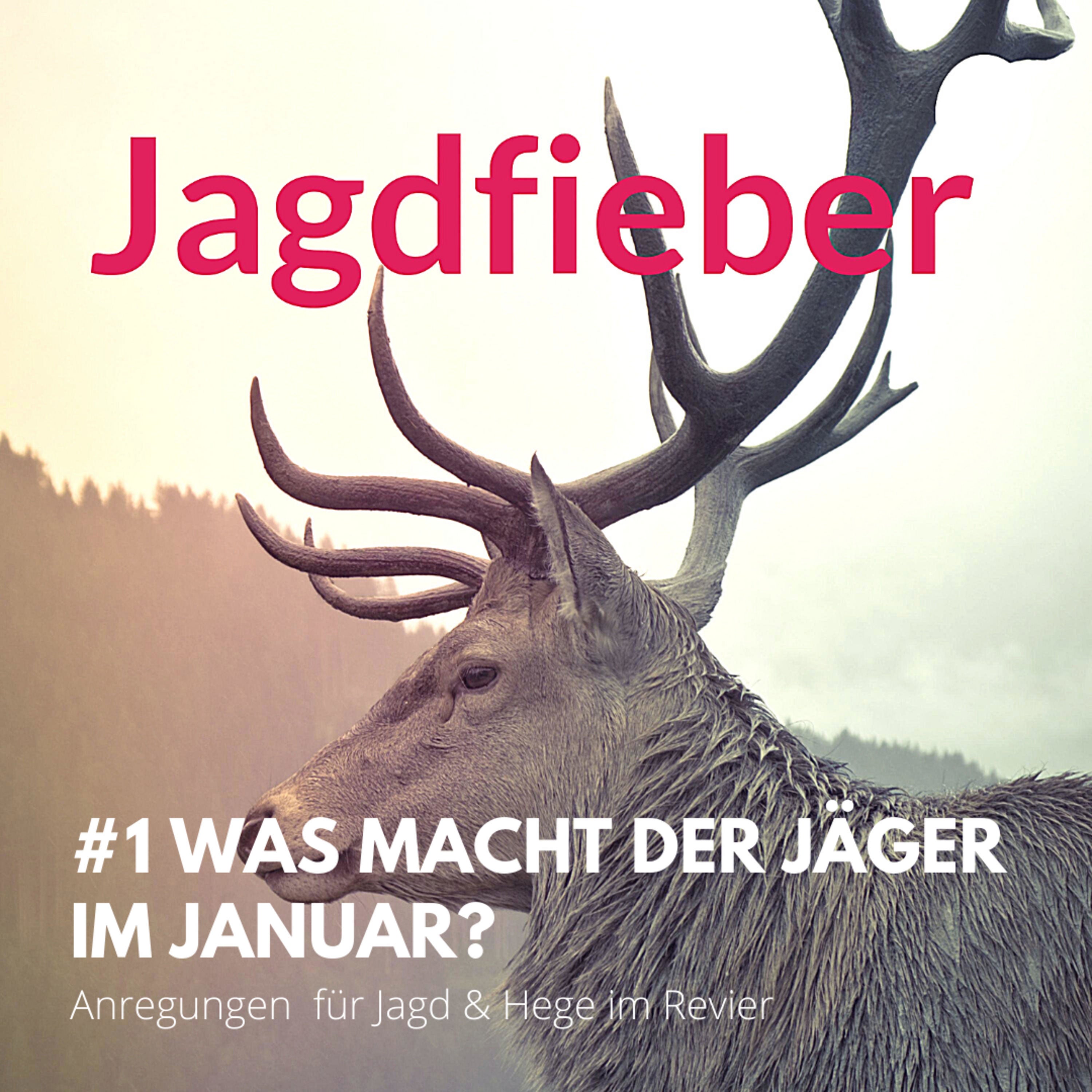 #1 Was macht der Jäger im Januar? Anregungen für Jagd & Hege im Revier #jagdfieberpodcast #jagdschuletogo