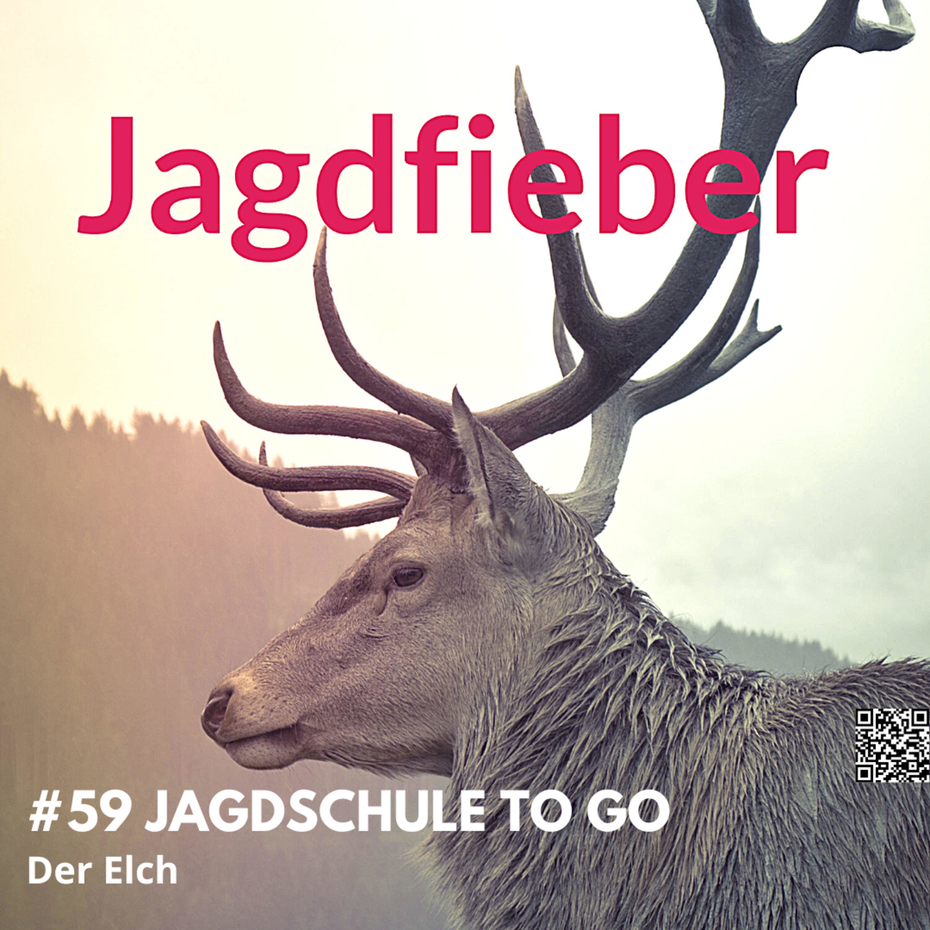 59 Jagdschuletogo Elch #elch #jagdfieber #jagdpodcast #jagd #wildbiologie #anjaimwald #jagd #jagdpodcast