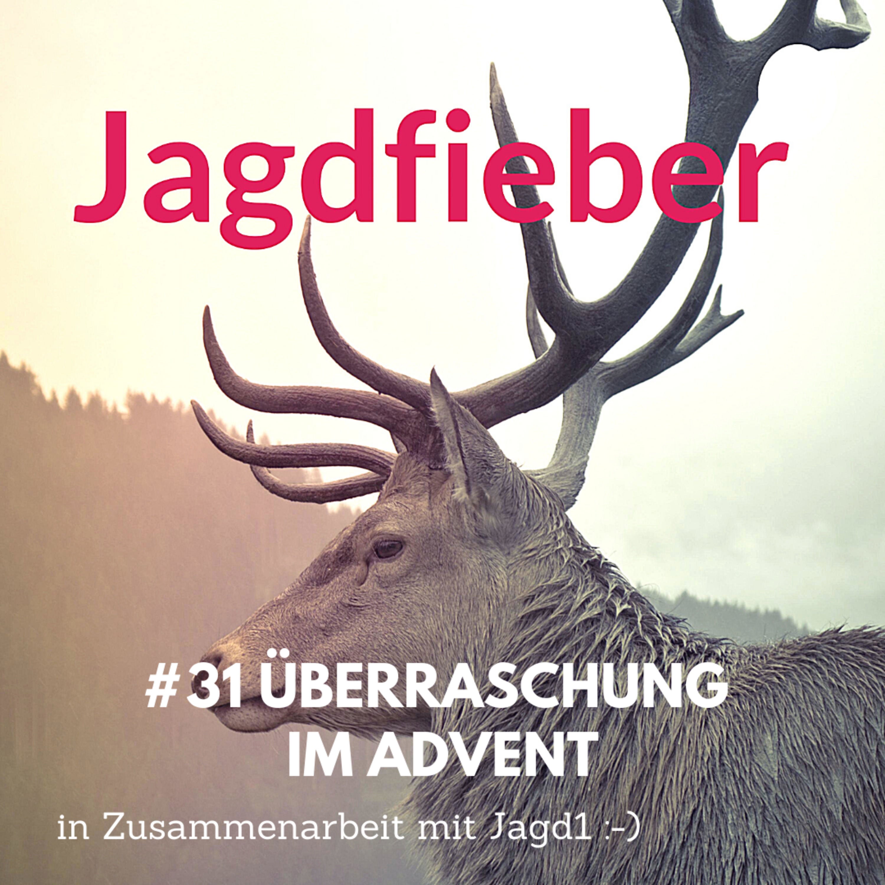 #31 Überraschung im Advent 🎄🧑‍🎄🎁#jagdfieber #weihnachtsgeschenke #jagdblog #geschenkefürjäger