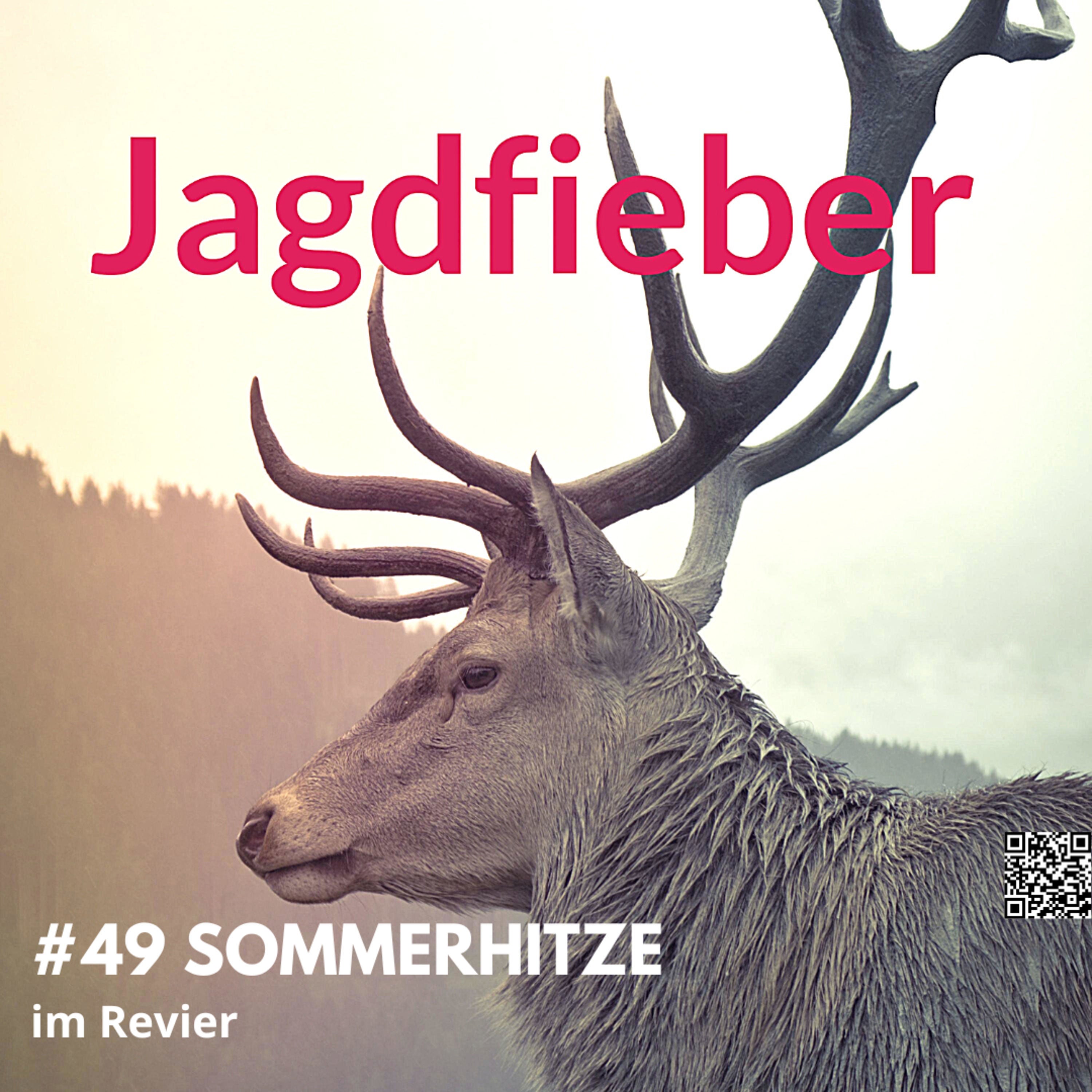 #49 Sommerhitze im Revier #Jagdfieber #jagdpodcast #jagdschule #sachsenjägerin #jagdfieberpodcast #hege # jagdschuletogo #sommer