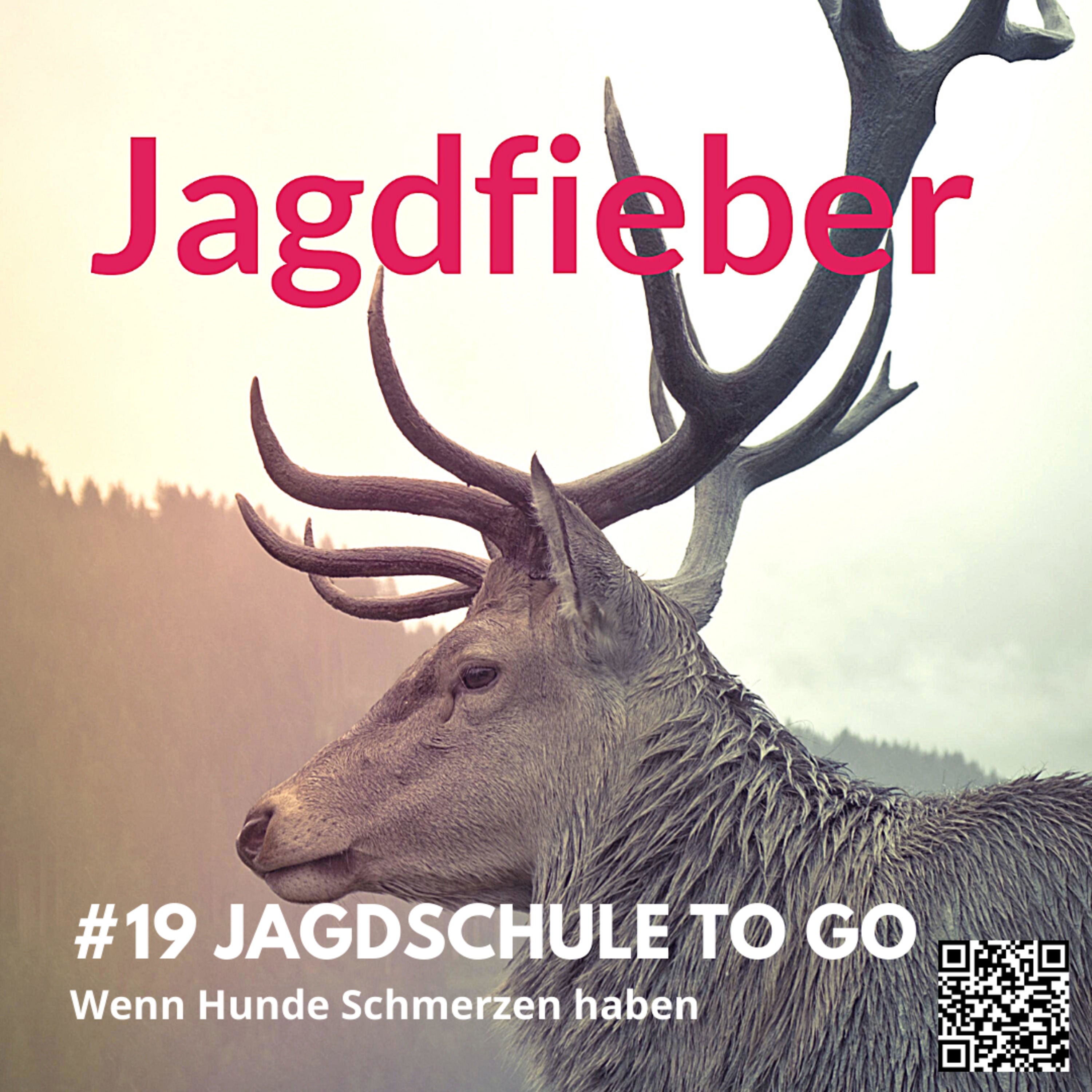 #19 Wenn unsere Hunde Schmerzen haben #jagdfieberpodcast #hundewesen #jagdhunde #sachsenjägerin #jagdschule #jagdpodcast #jagdschuletogo