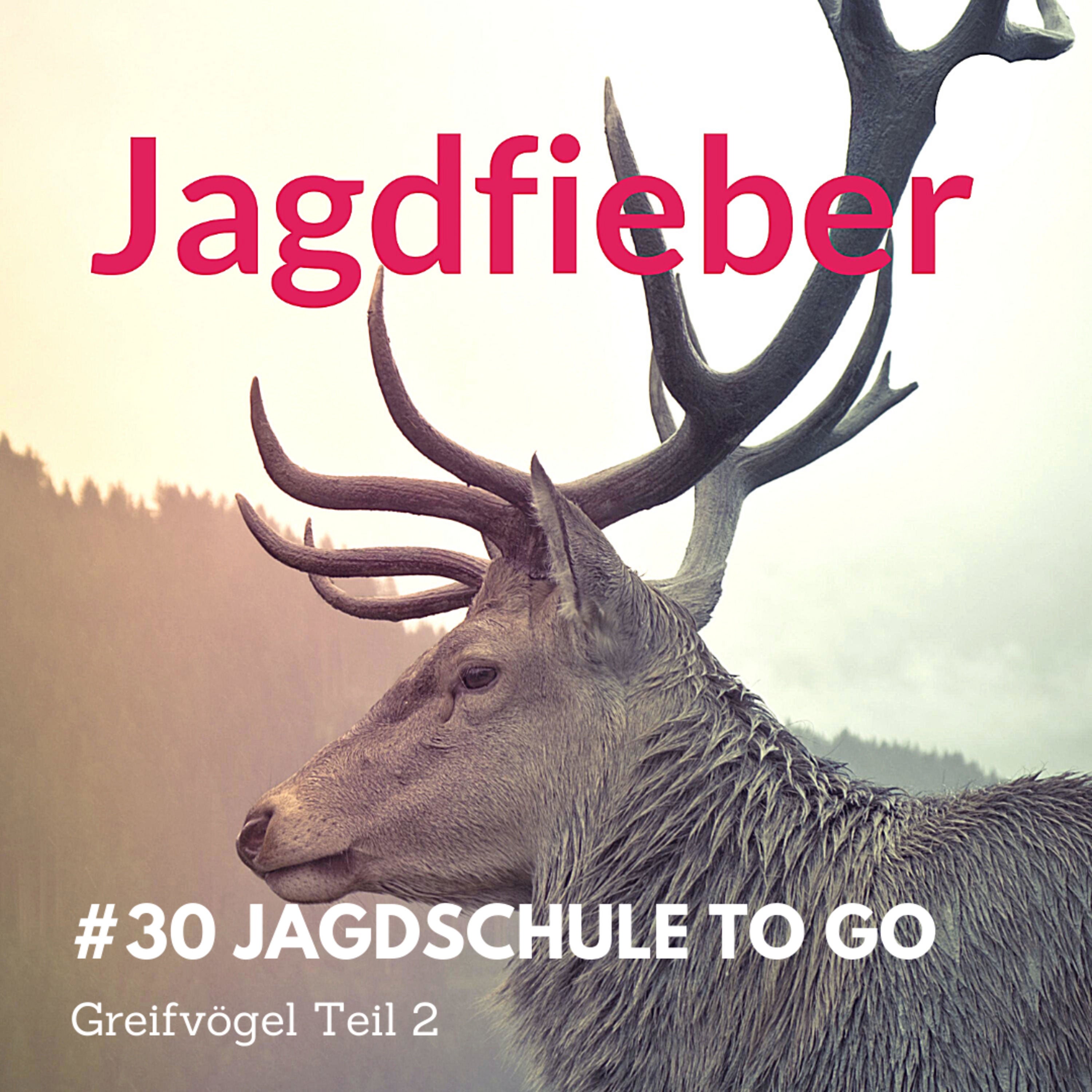 #30 Jagdschule to go Greifvögel Teil 2 #jagdschule #greifvögel #jagdblog #jagdfieberpodcast #jungjäger