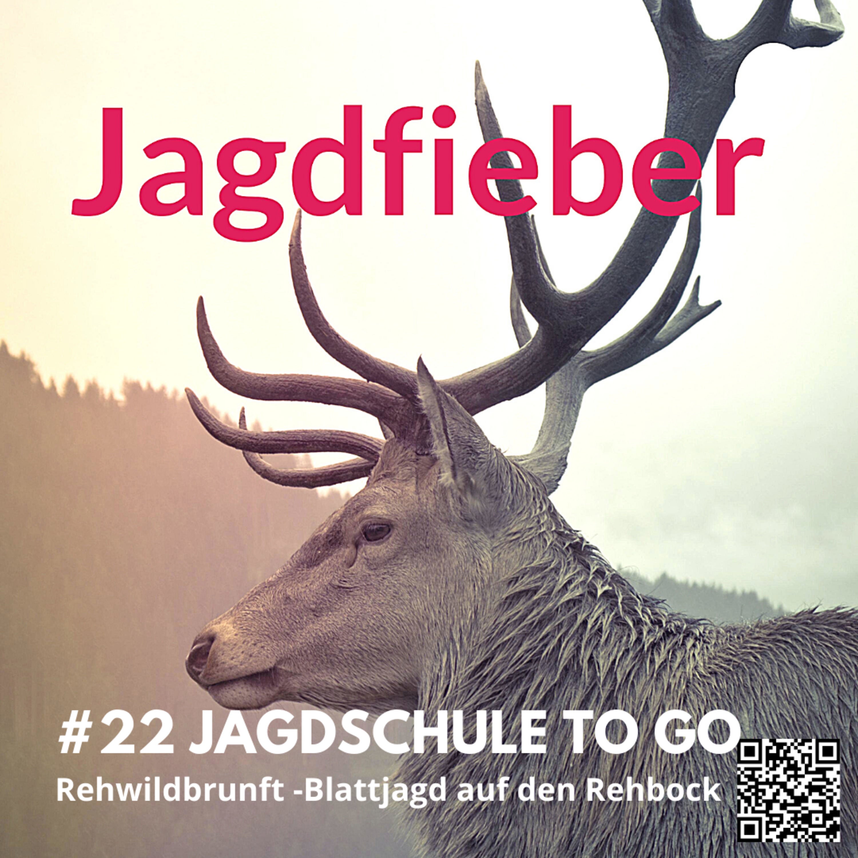 #22 Jagdschule to go "Blattjagd auf den Rehbock" #jagdfieberpodcast #jagdpodcast #jägerwerden #sachsenjägerin #jagdundhund #jagdschule #rehwildbrunft #blattjagd