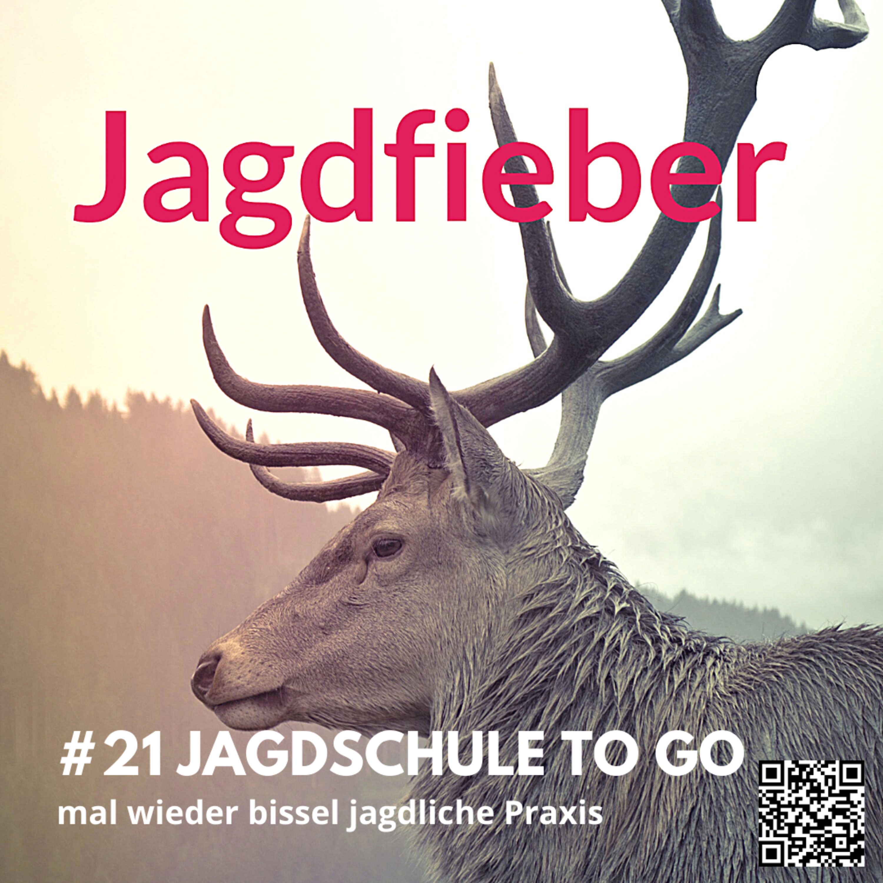 #21 Jagdschule to go- mal wieder was zur jagdlichen Praxis #jagdfieberpodcast #jagdpodcast #sachsenjägerin #jagdschule #jungjäger #jagdlichepraxis #jägerundjagd #jagdundhund