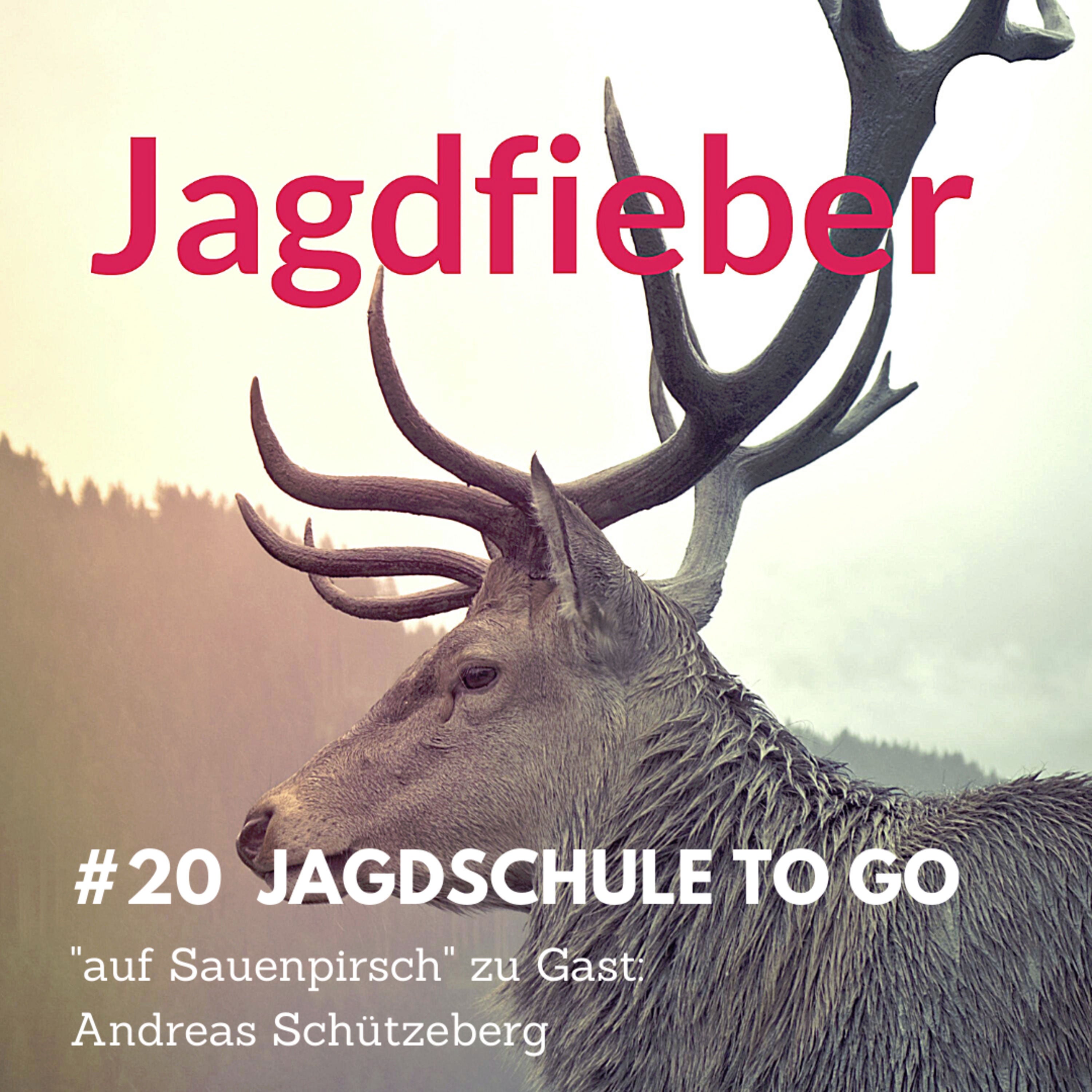 #20 Auf Sauenpirsch #weidmannsheil #jagdfieber #jagdpodcast #jagdschuletogo #schwarzwild #jagd #jagdblog #sauenjagd #nachtsichtgerät #wärmebild