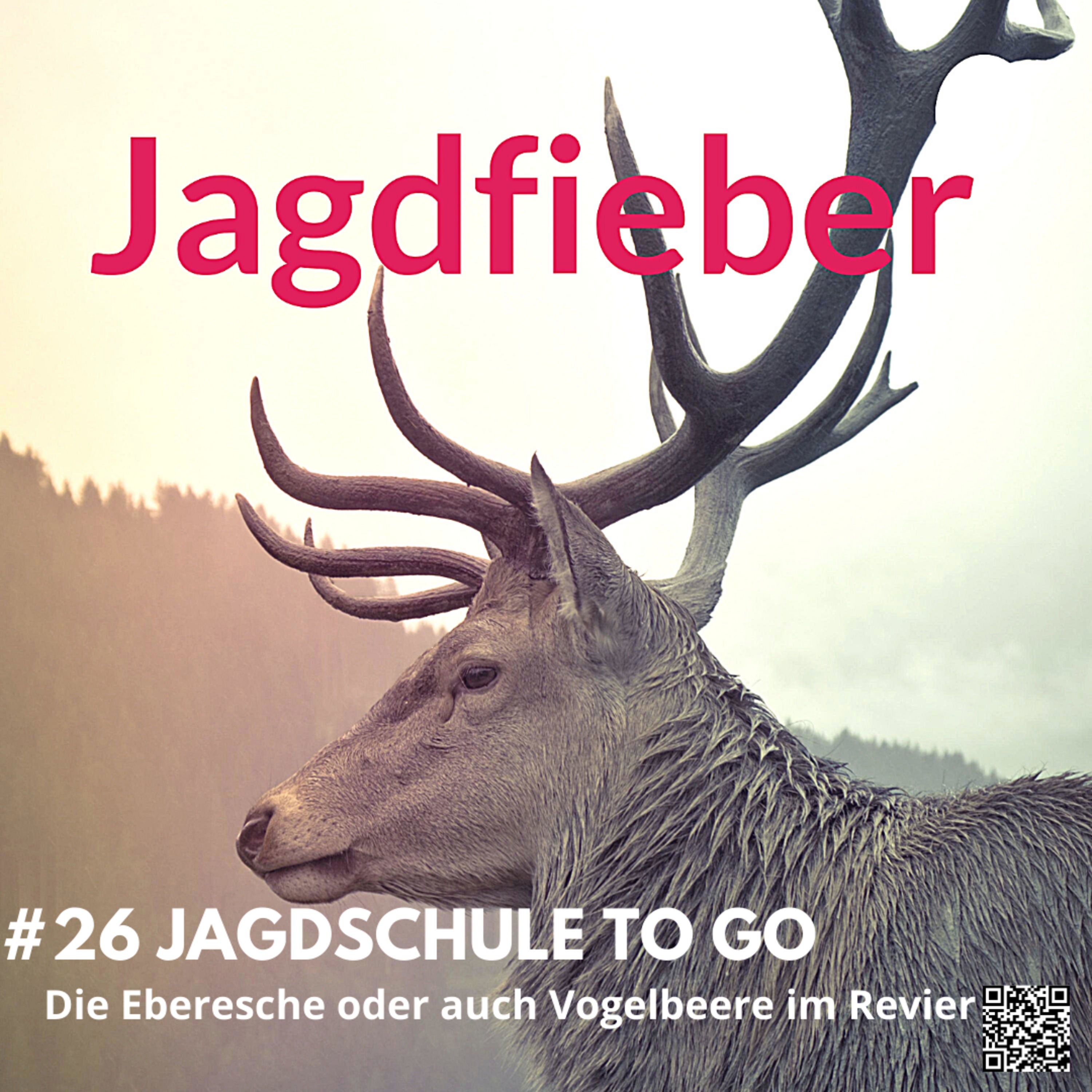 #26 Die Vogelbeere #hege #jagdfieberpodcast #jagdpodcast #jagdfieber #schalenwild #jagdundnatur #waldbau #sachsenjäger #hegeundjagd #jagdschule
