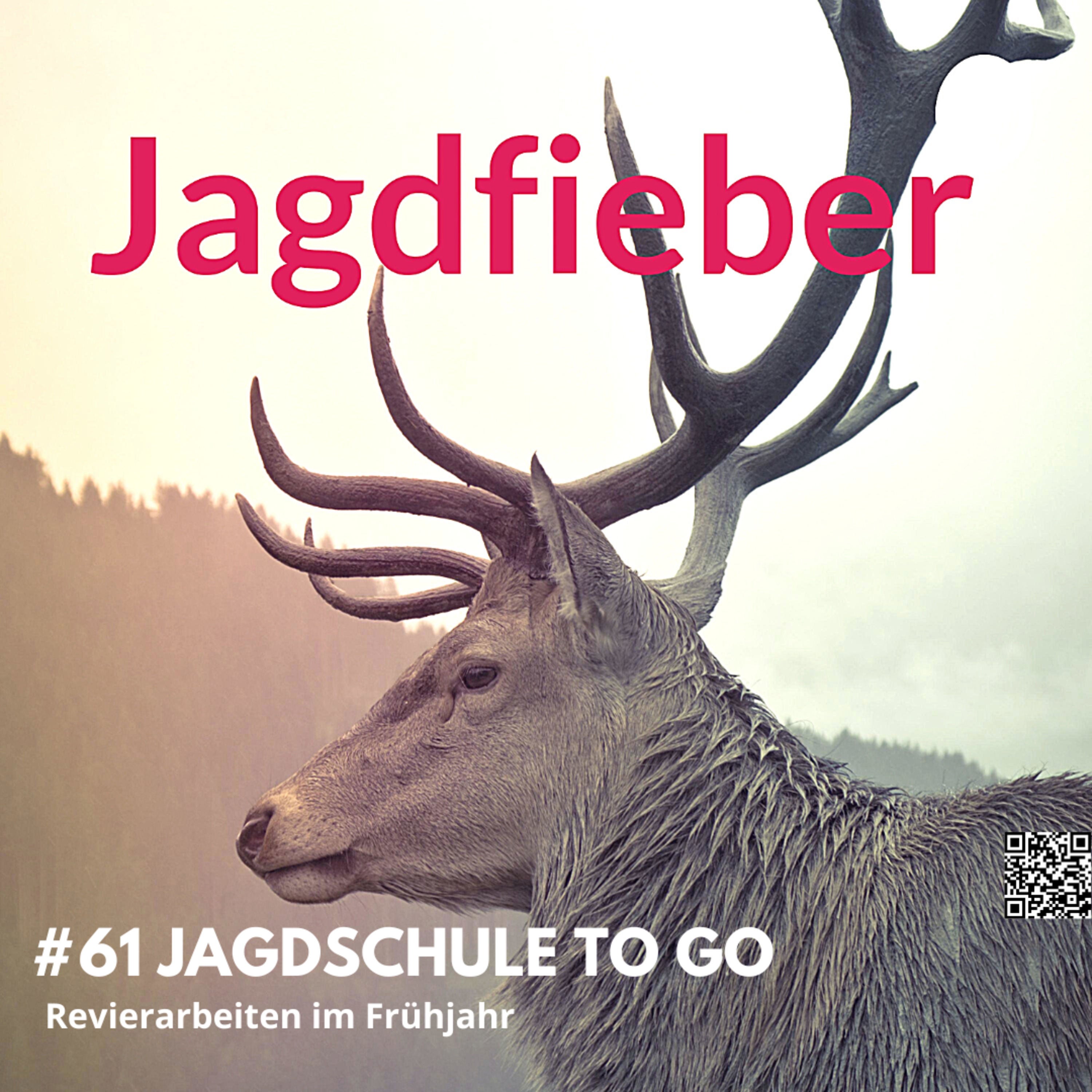 #61 Revierpflege im Frühling: Jäger im Einsatz für Wald und Wild